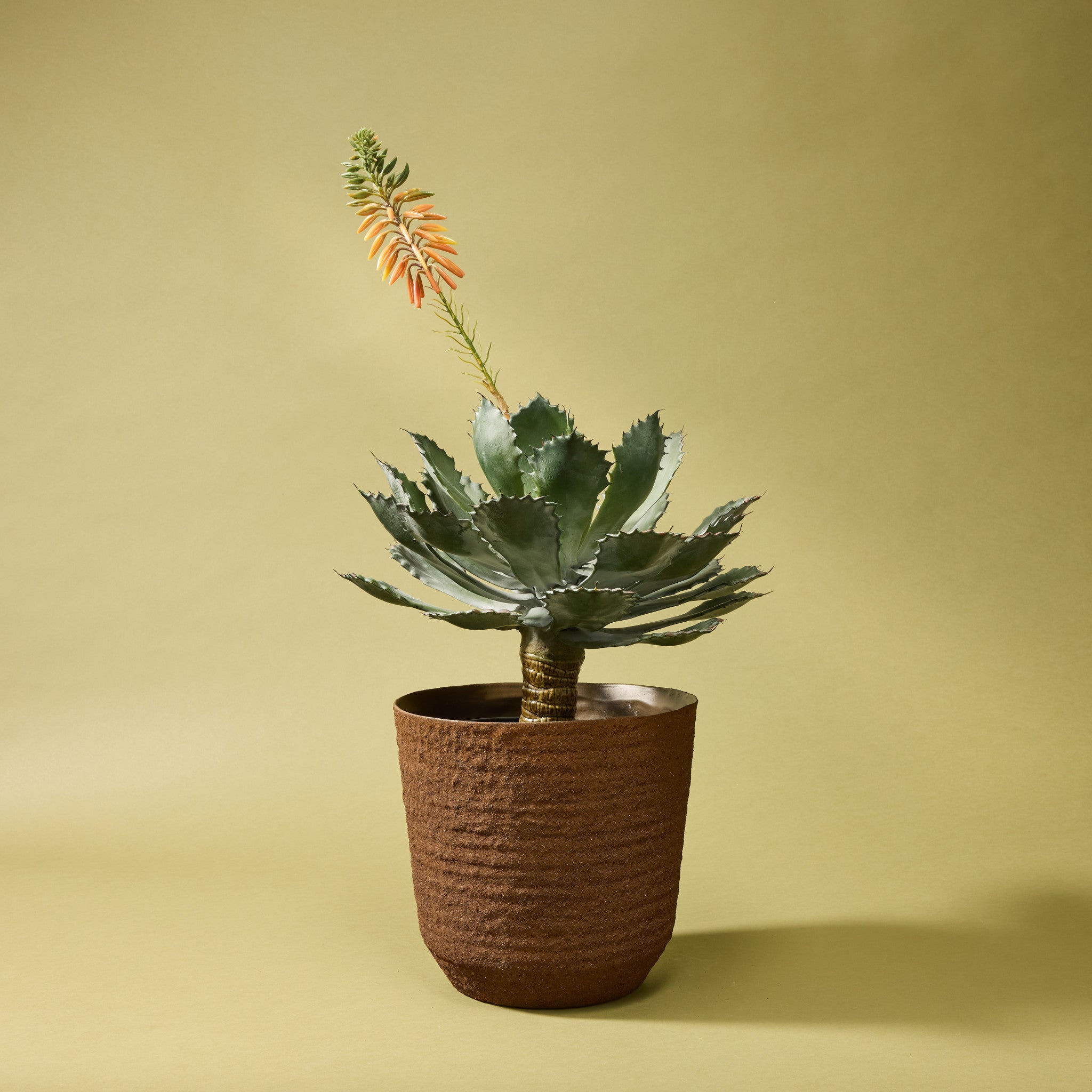 Faux Flowering Echeveria - Garden Pot | 62cm