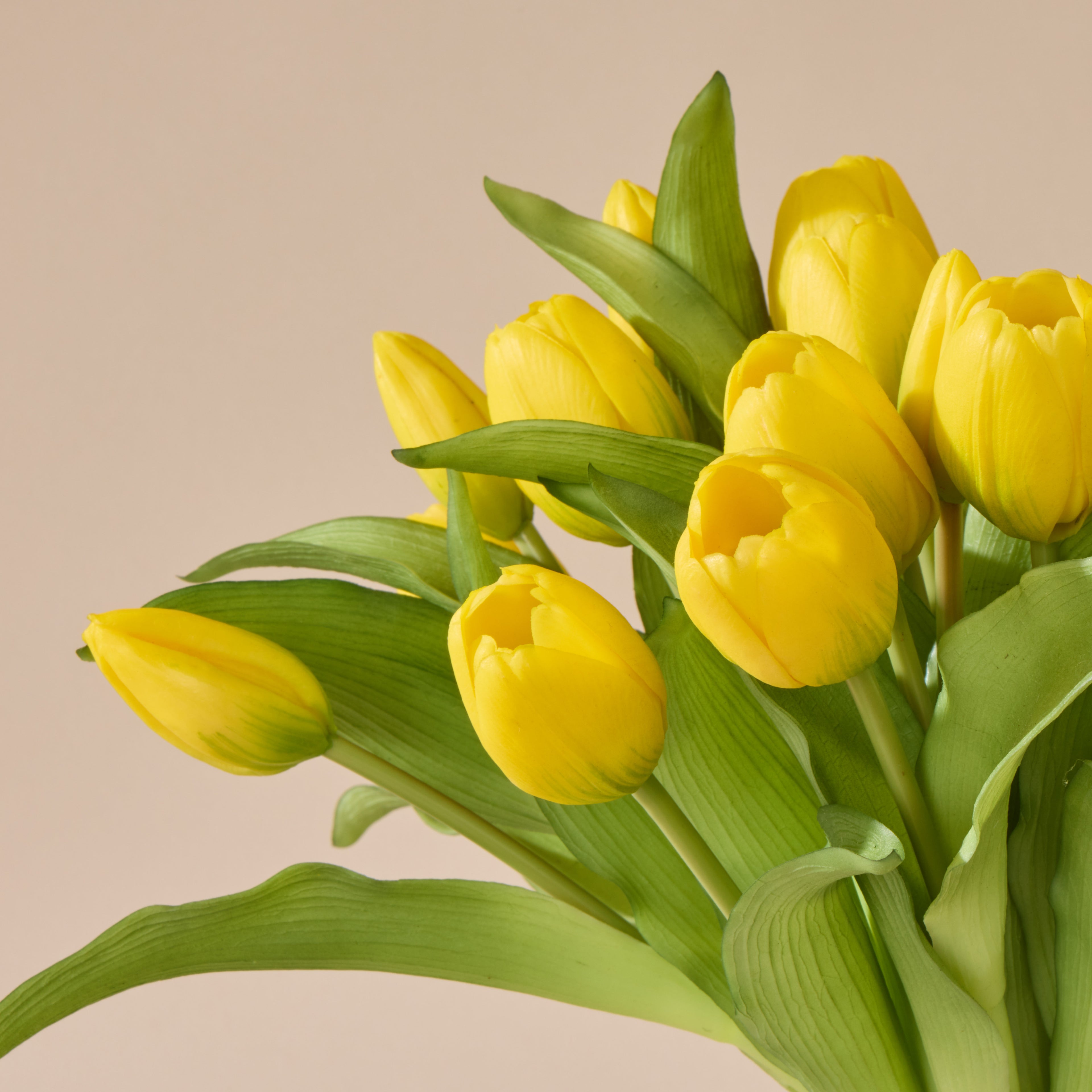 Faux Tulip Bunch - Phoebe Vase | Yellow - 32cm