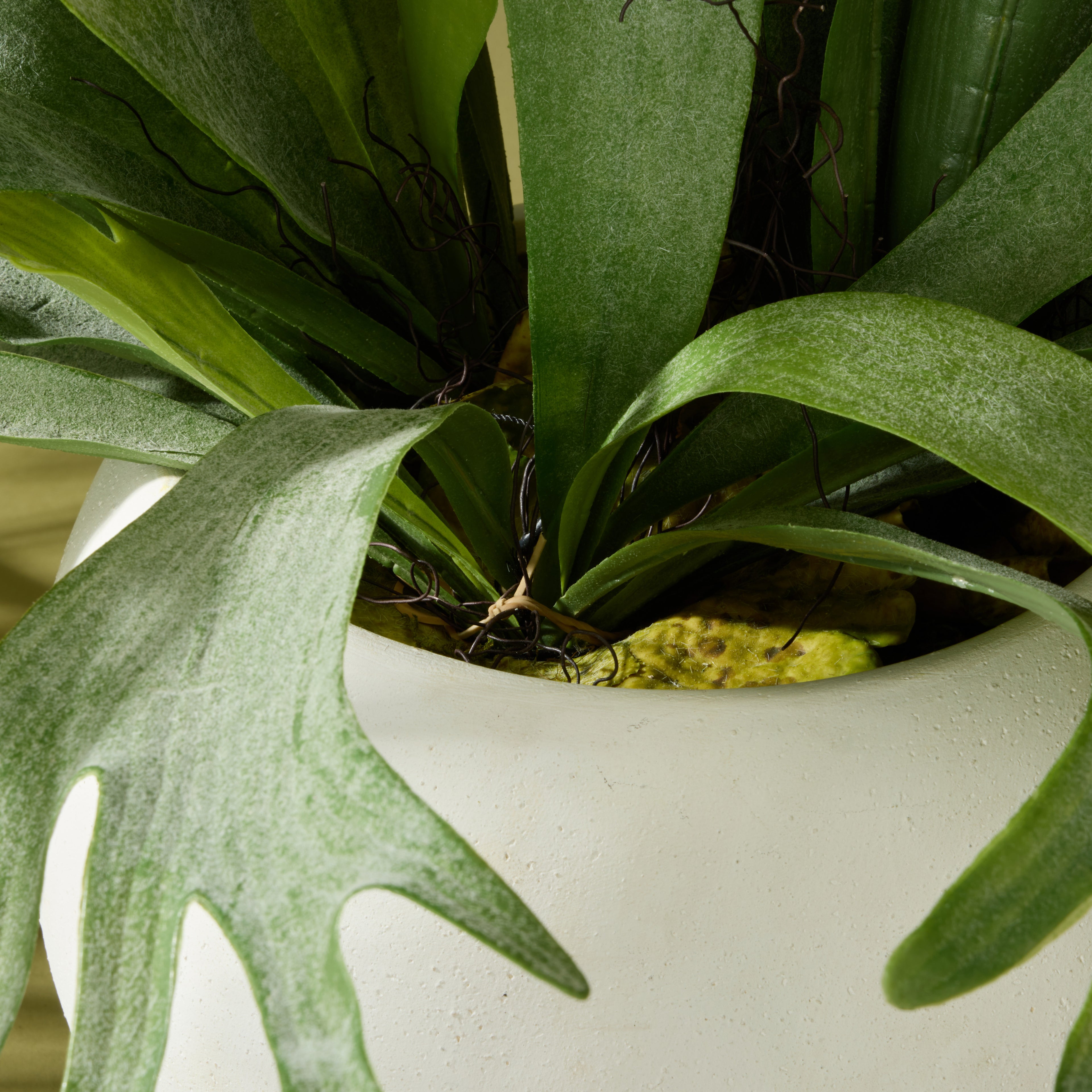Faux Staghorn Fern - Lyon Planter | 76cm