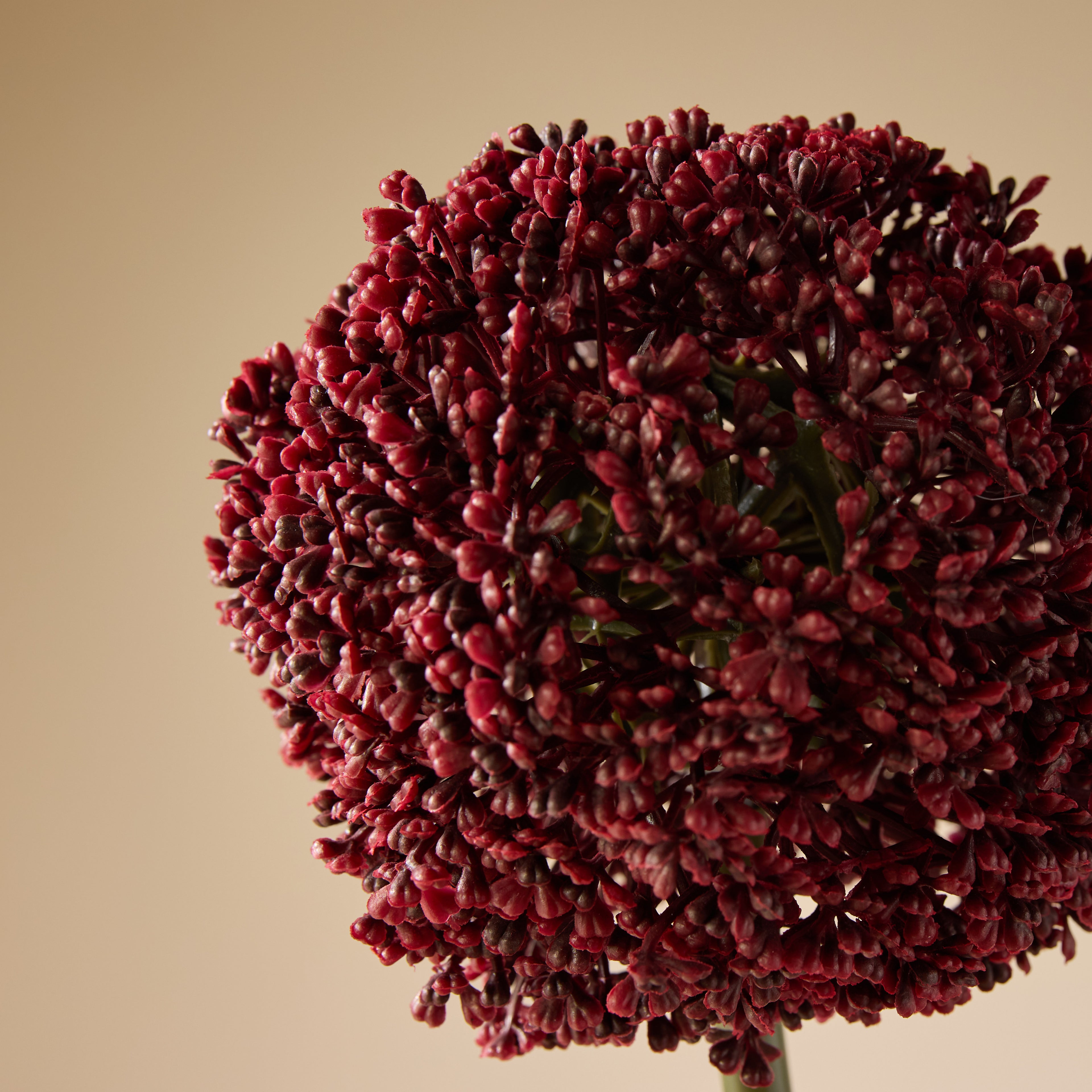 Faux Allium Stem | Burgundy - 76cm