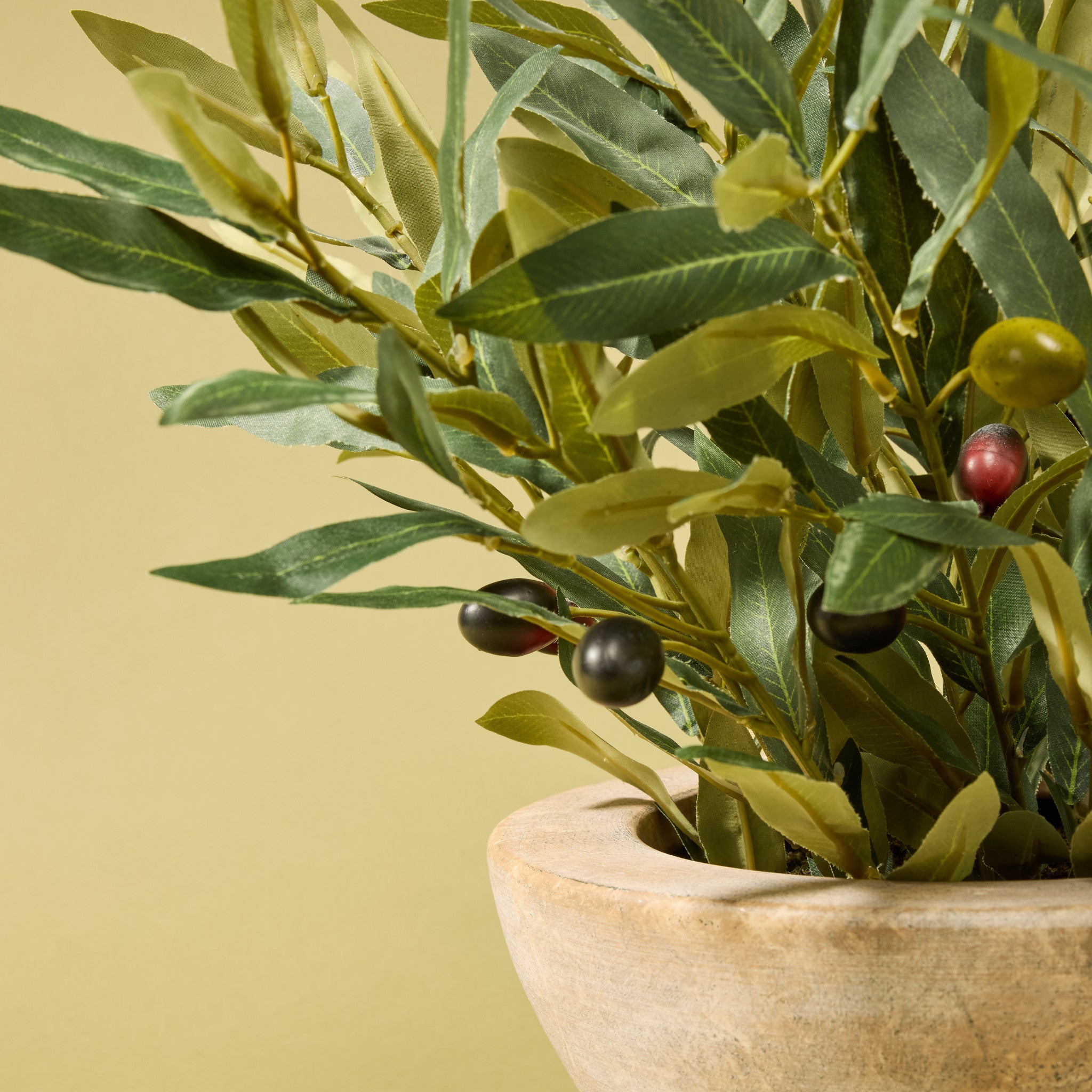 Faux Olive Spray Arrangement - Earthenware Bowl | 47cm