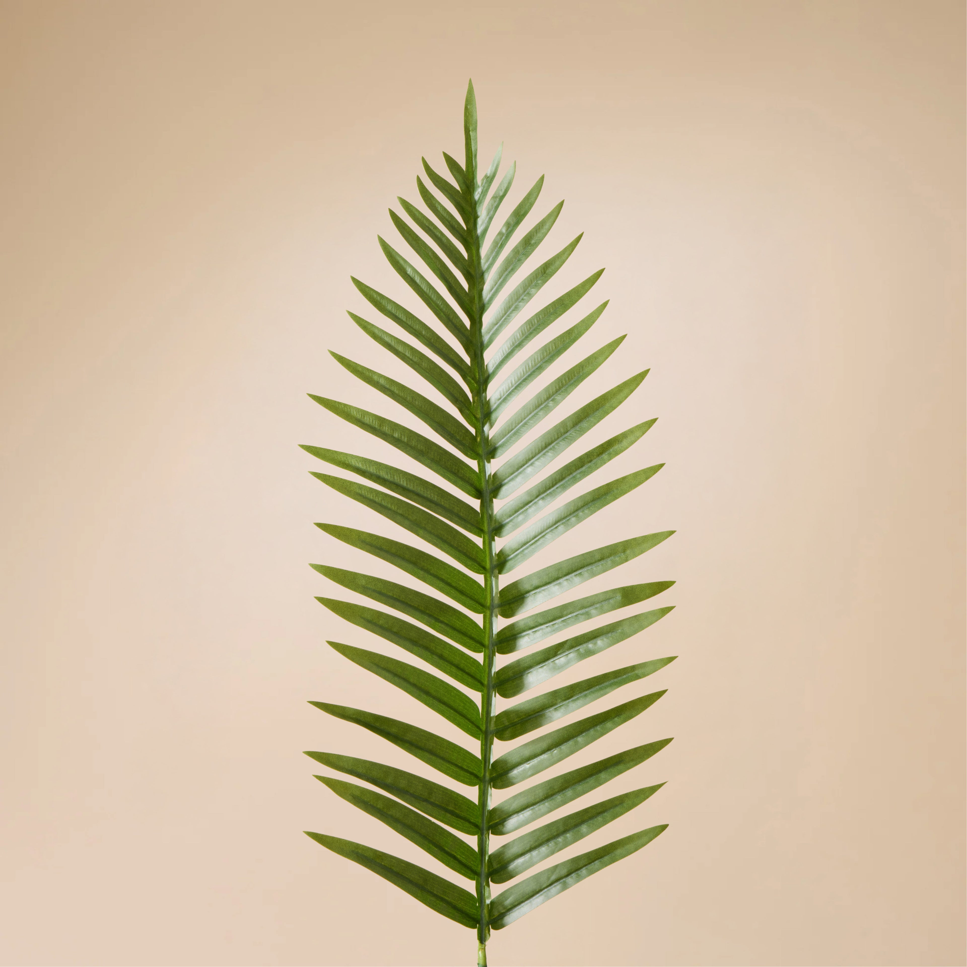 Faux Fan Palm Leaf | Green - 100cm