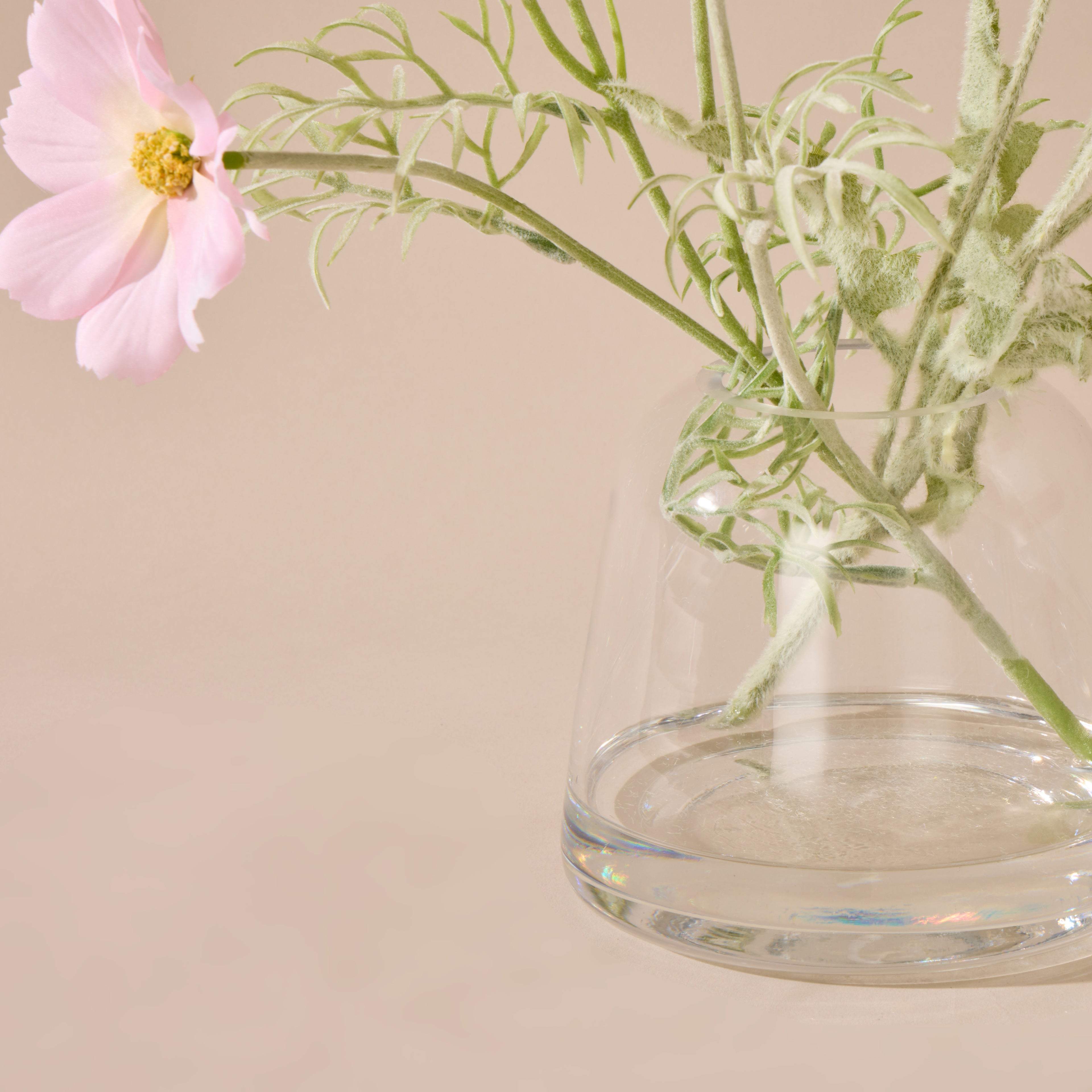 Faux Poppy Cosmos Mix - Giselle Vase | Cream & Light Pink - 37cm