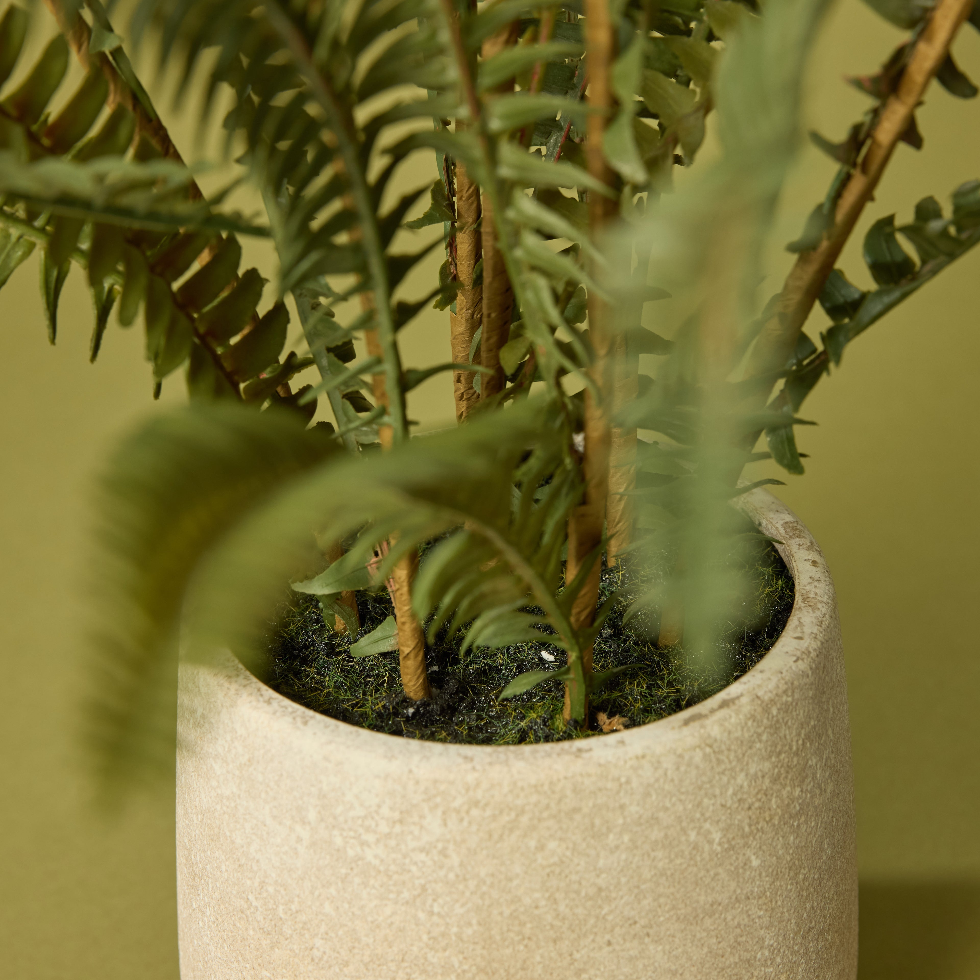 Faux Boston Fern - White Pot | 71cm