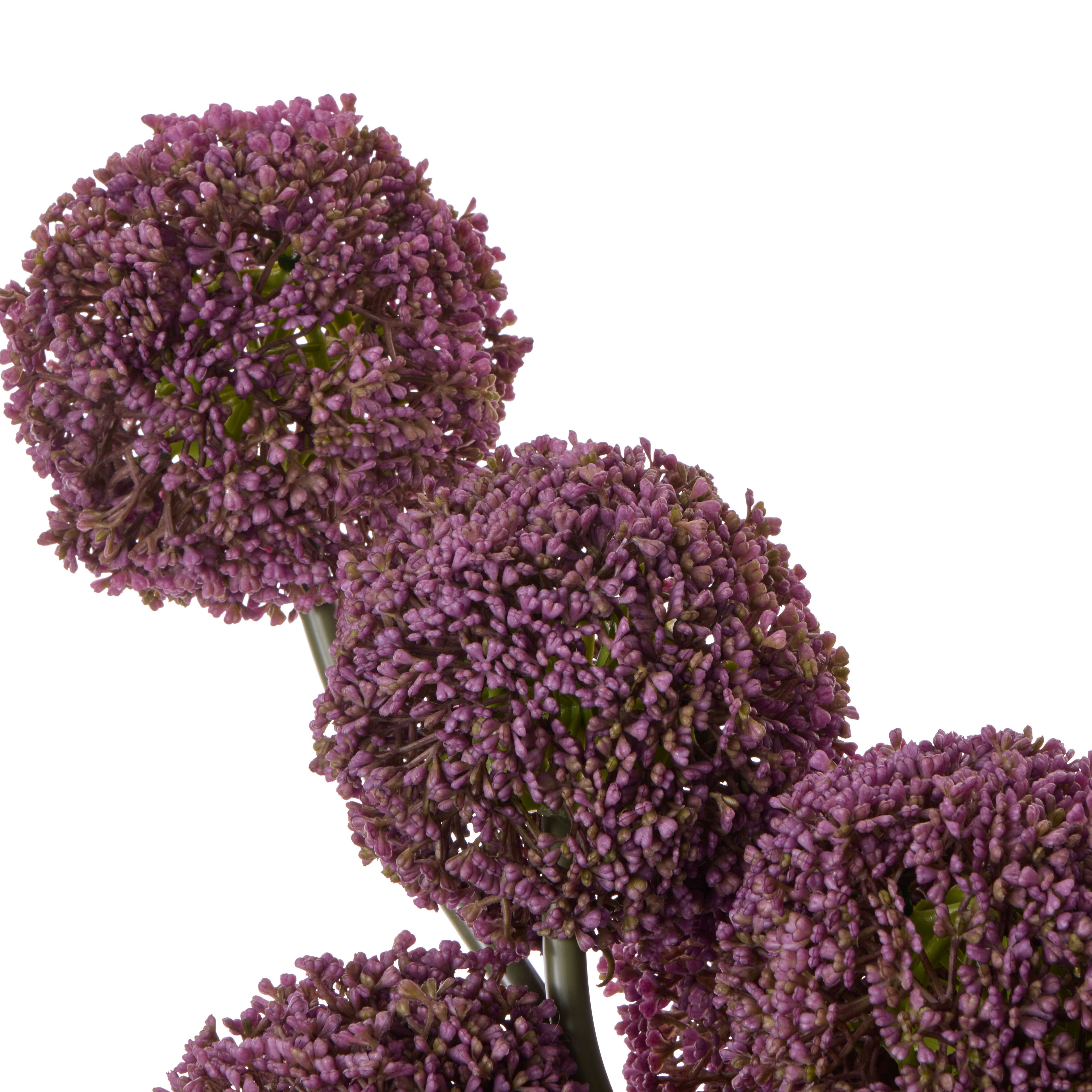 Faux Allium Spheres Arrangement - Maliah Pot | Purple - 55cm