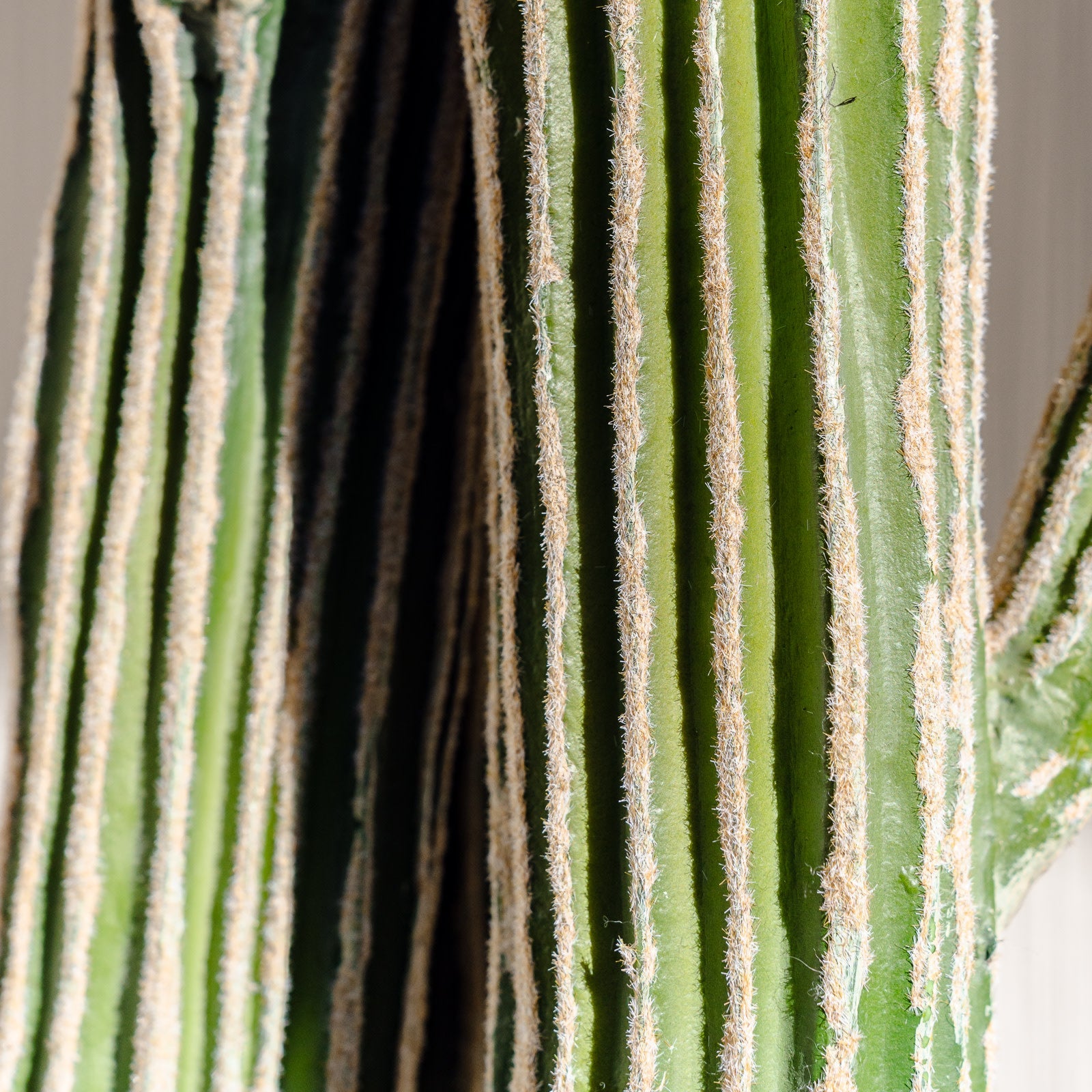 Faux Saguaro Cactus | 91cm