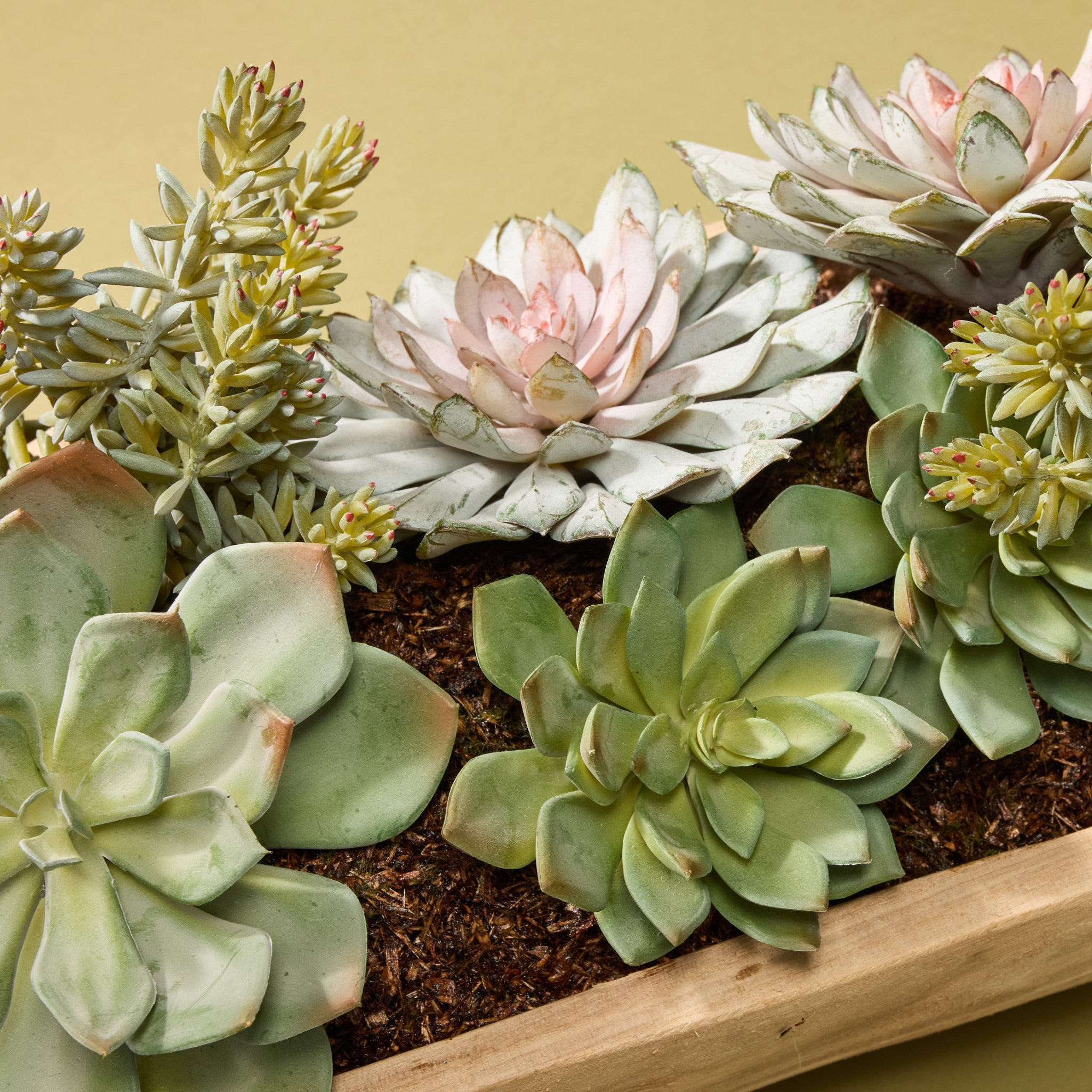 Faux Echeveria Succulent Garden Arrangement - Dansk Tray