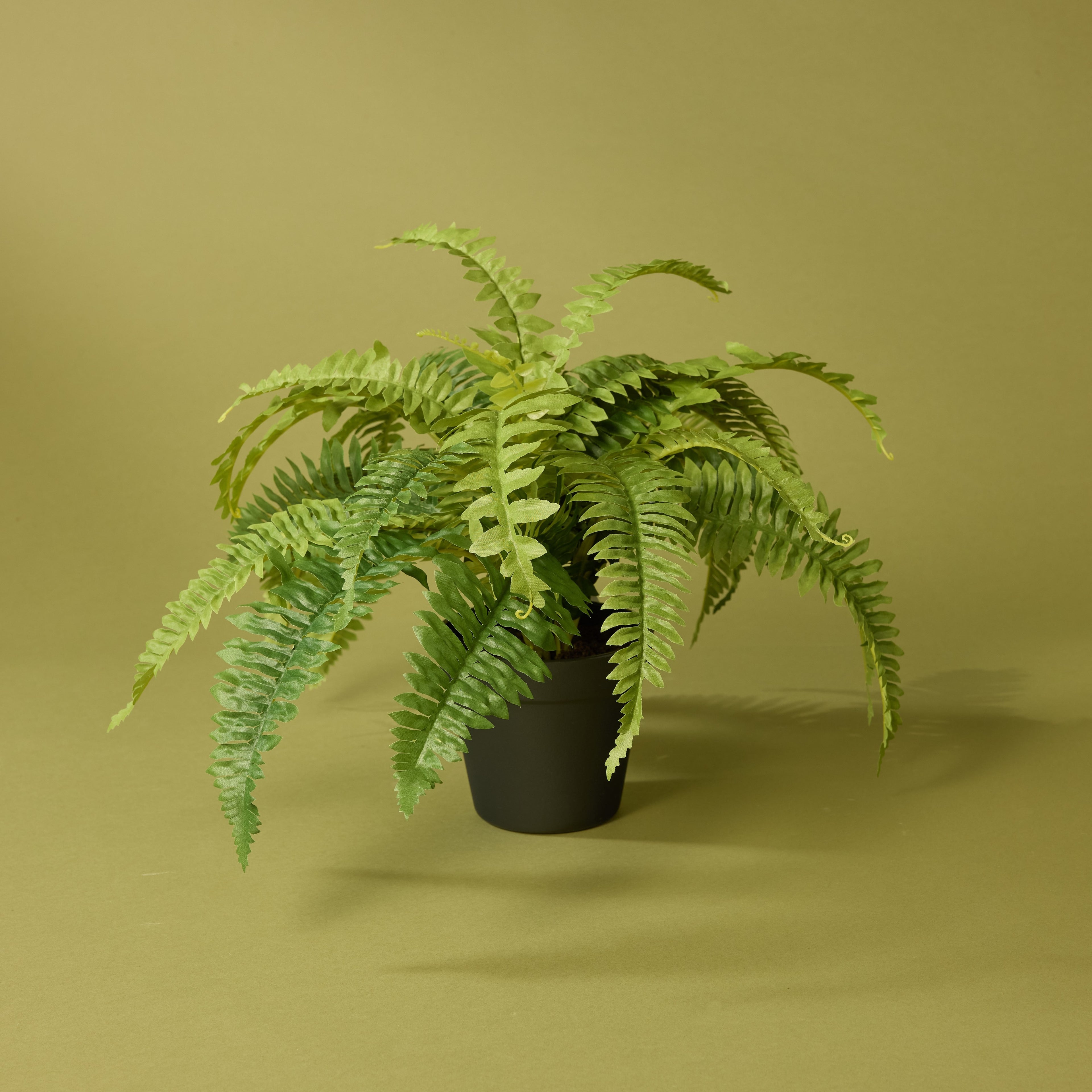 Faux Boston Fern - Garden Pot | 37cm