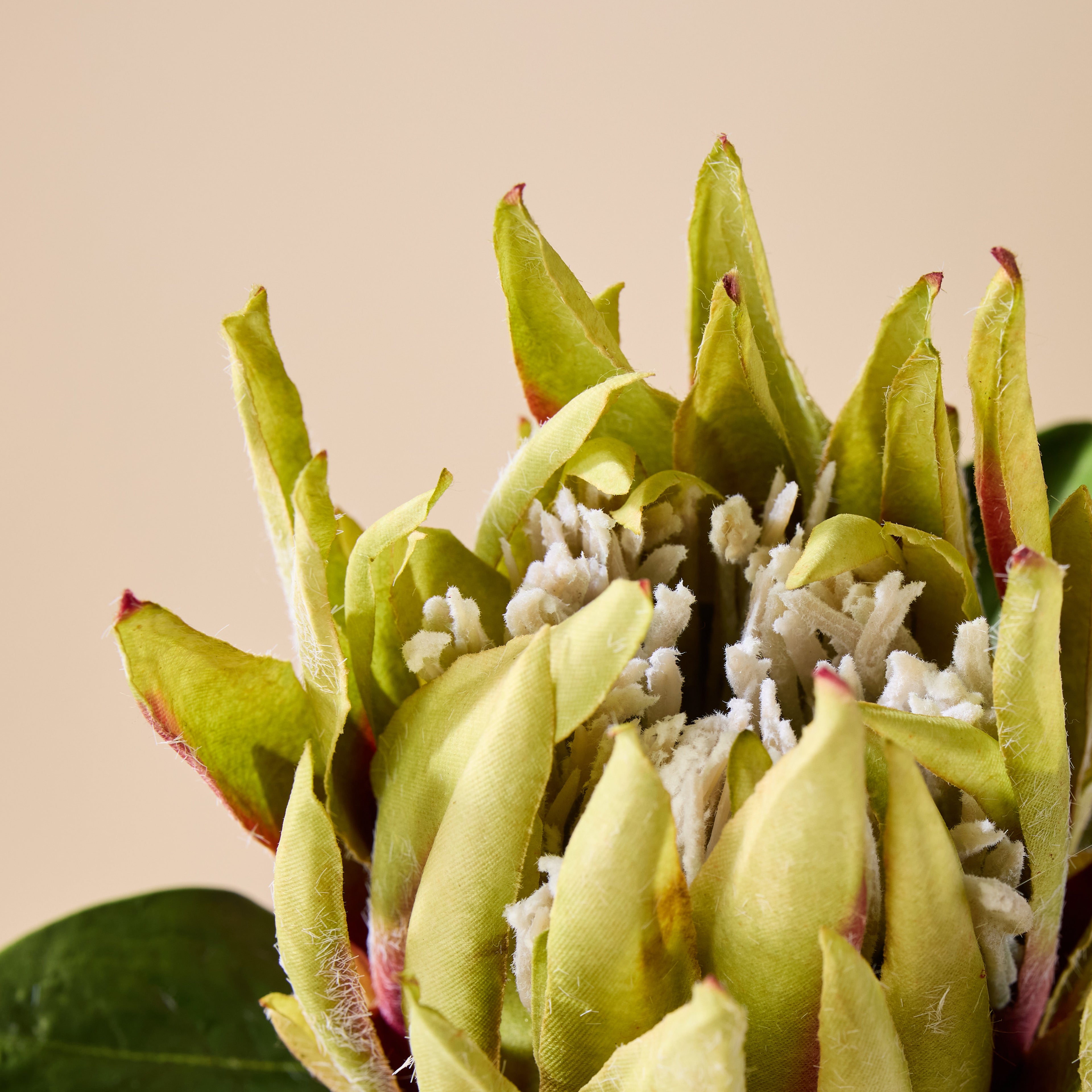 Faux King Protea Stem | Green - 60cm