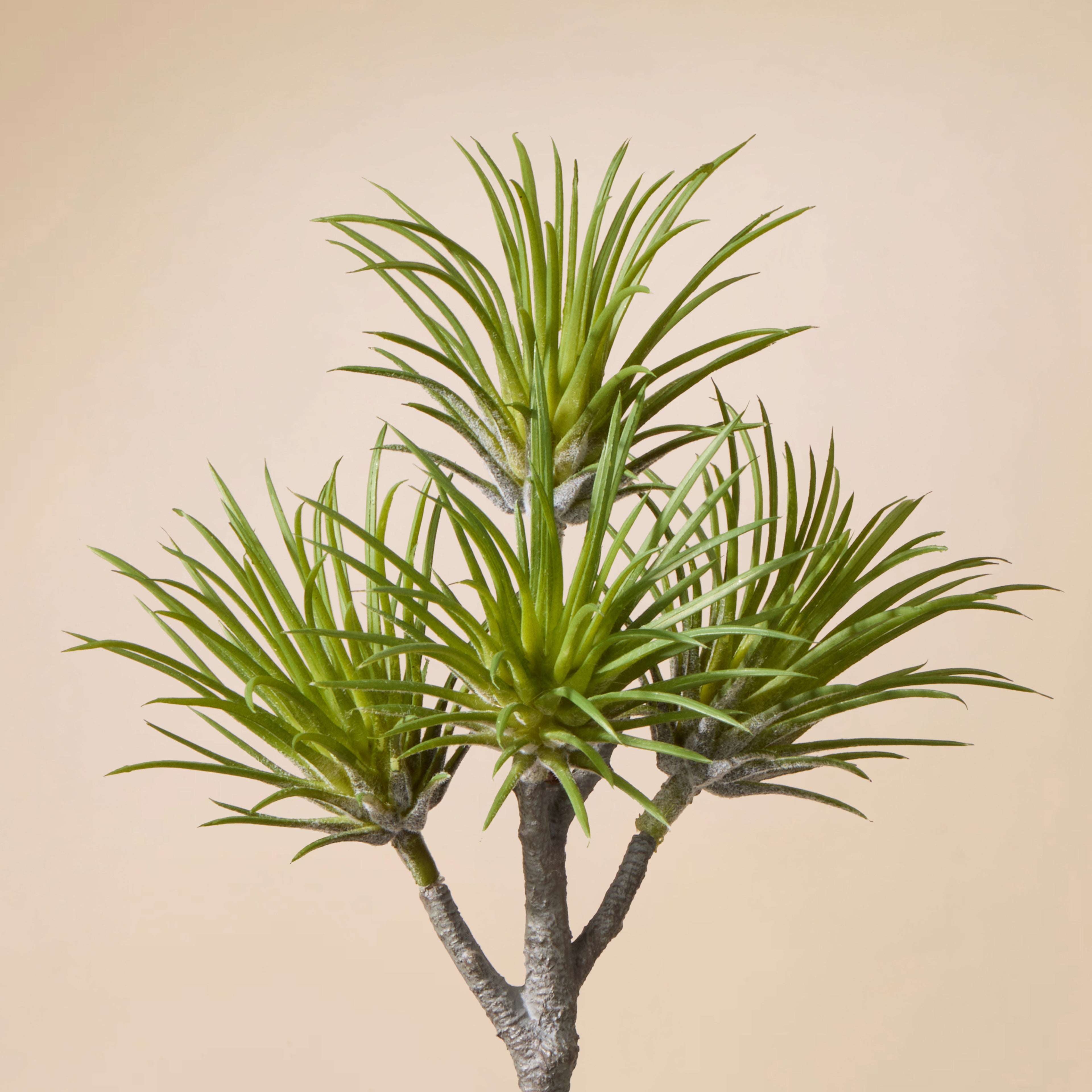 Faux Air Plant Spray | Green - 22cm