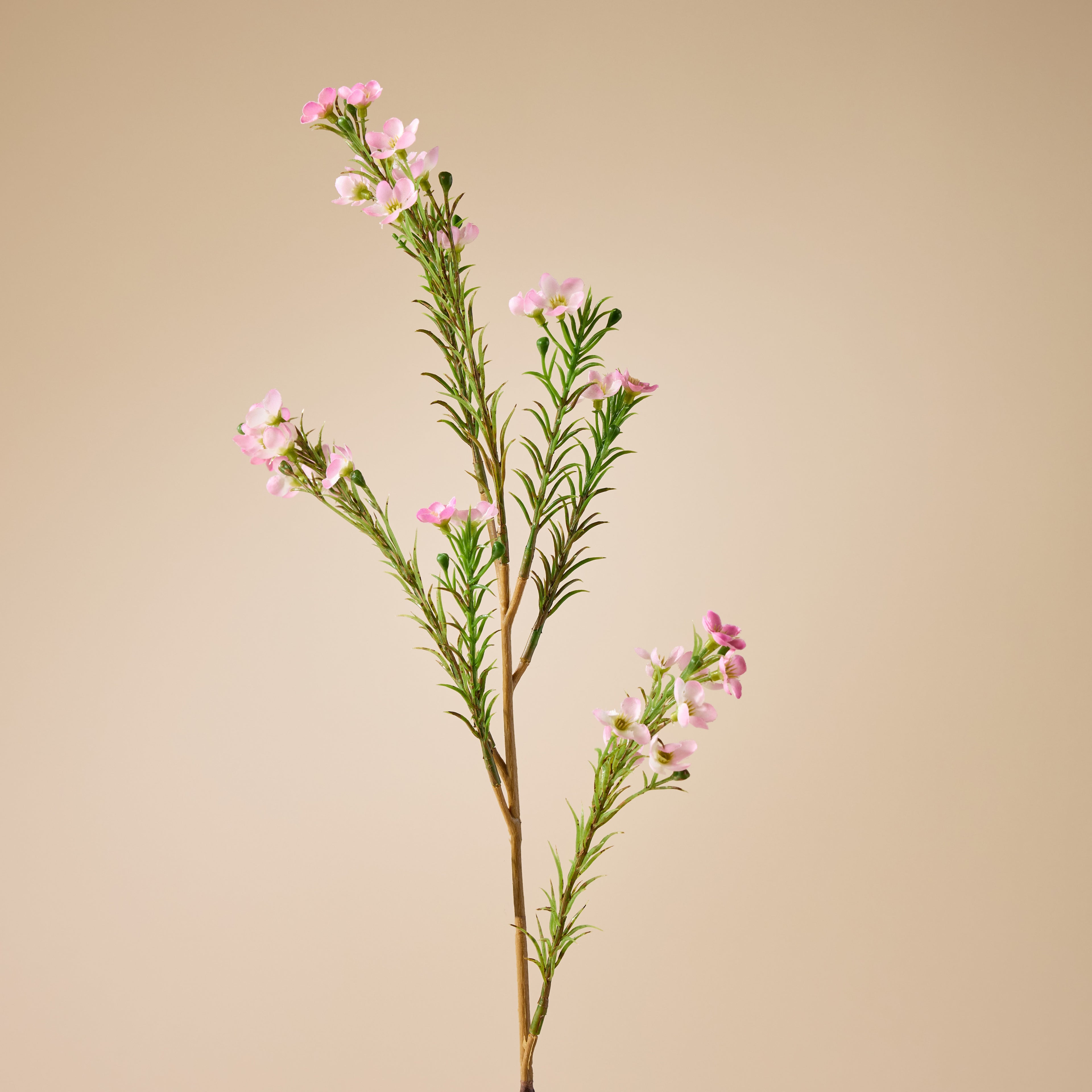 Faux Wax Flower Spray | Pink - 65cm