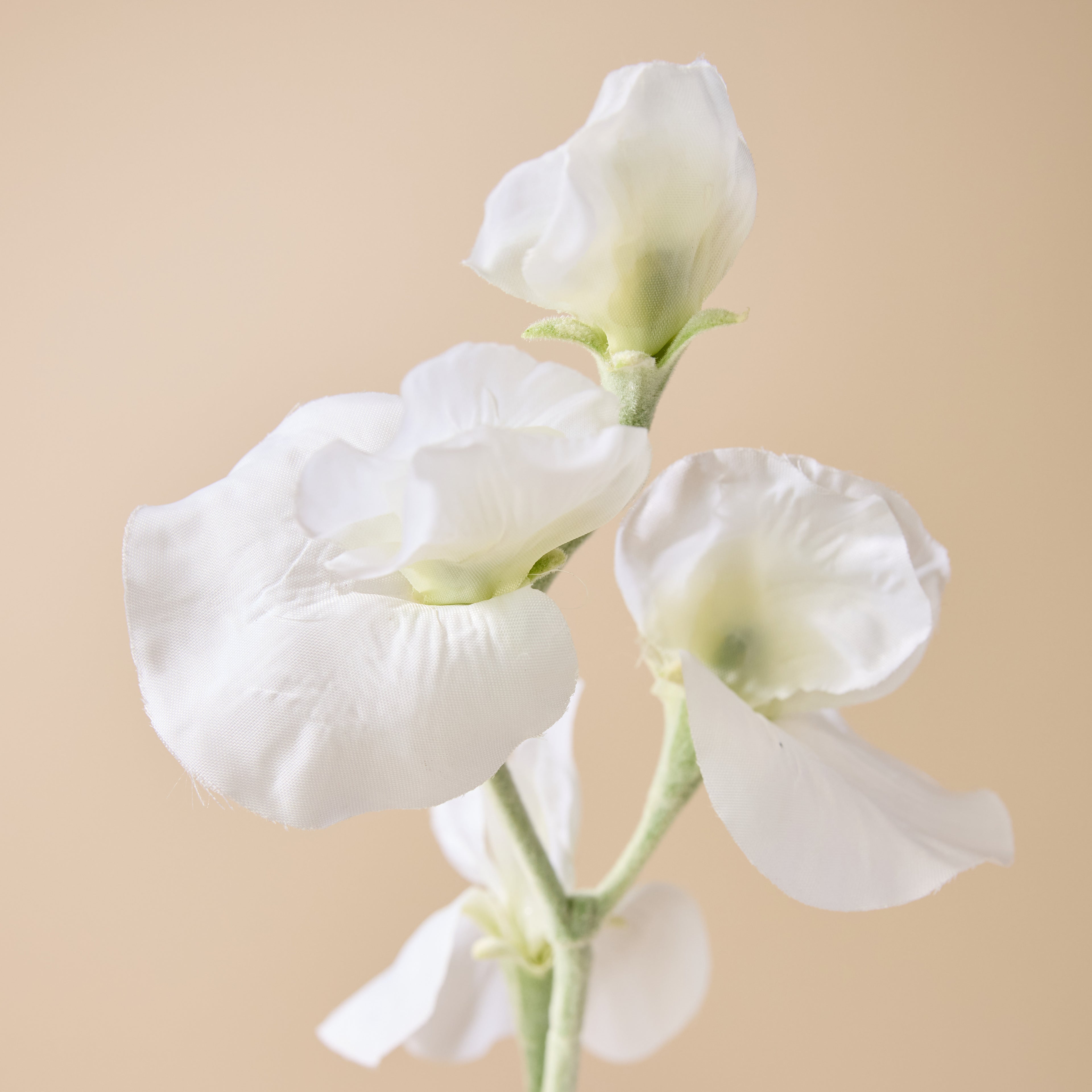 Faux Sweet Pea Spray | Cream - 64cm