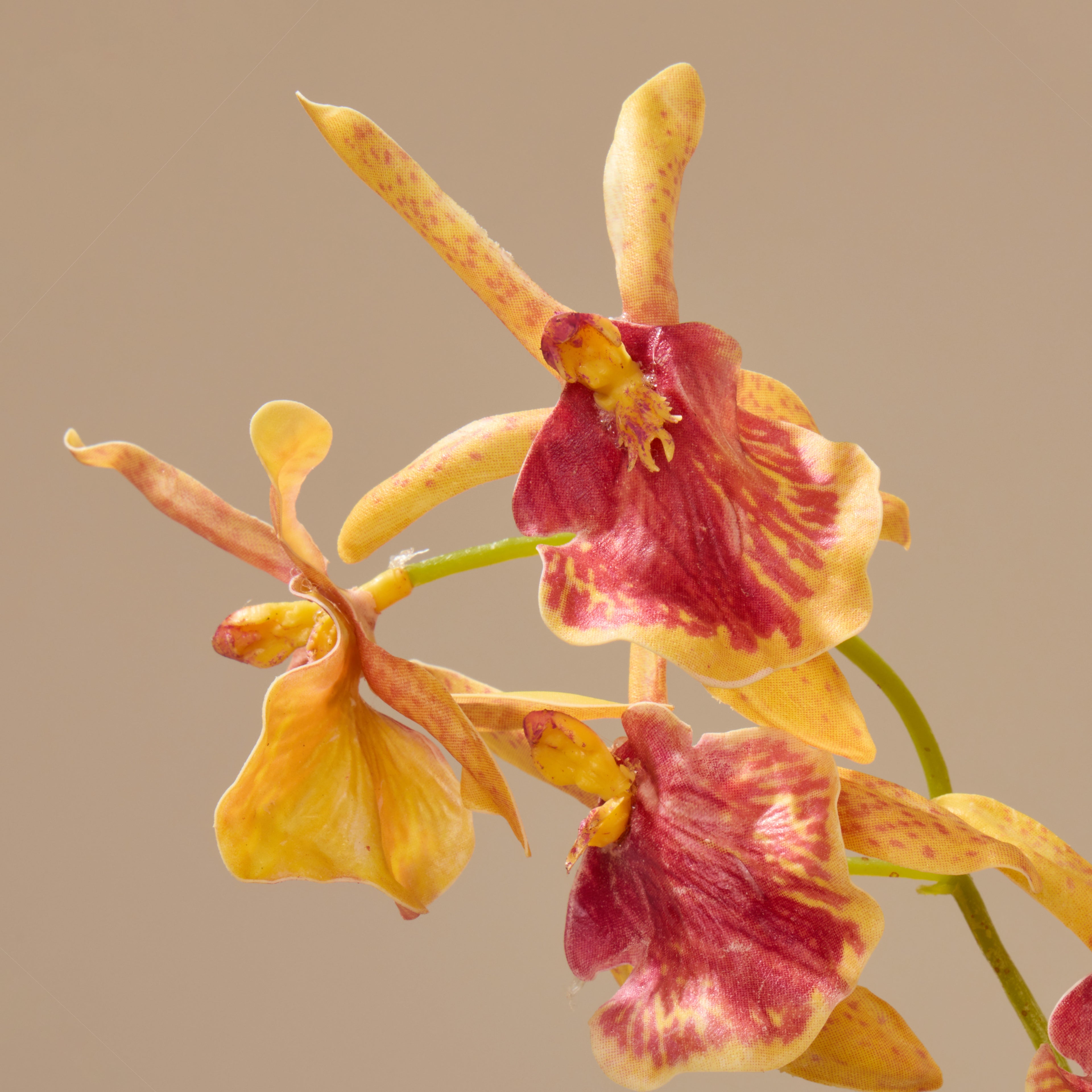 Faux Dendrobium Orchid | Orange - 104cm