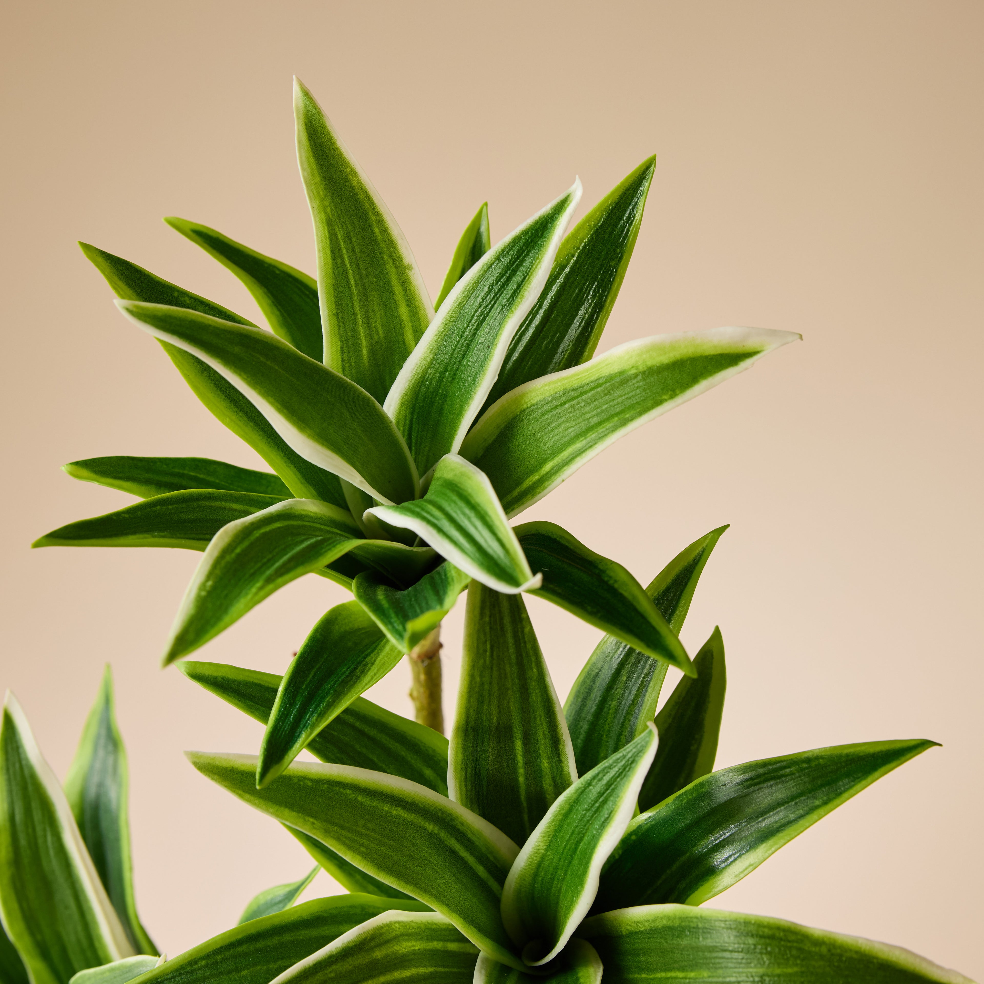 Faux Tradescantia Spray | Green - 81cm