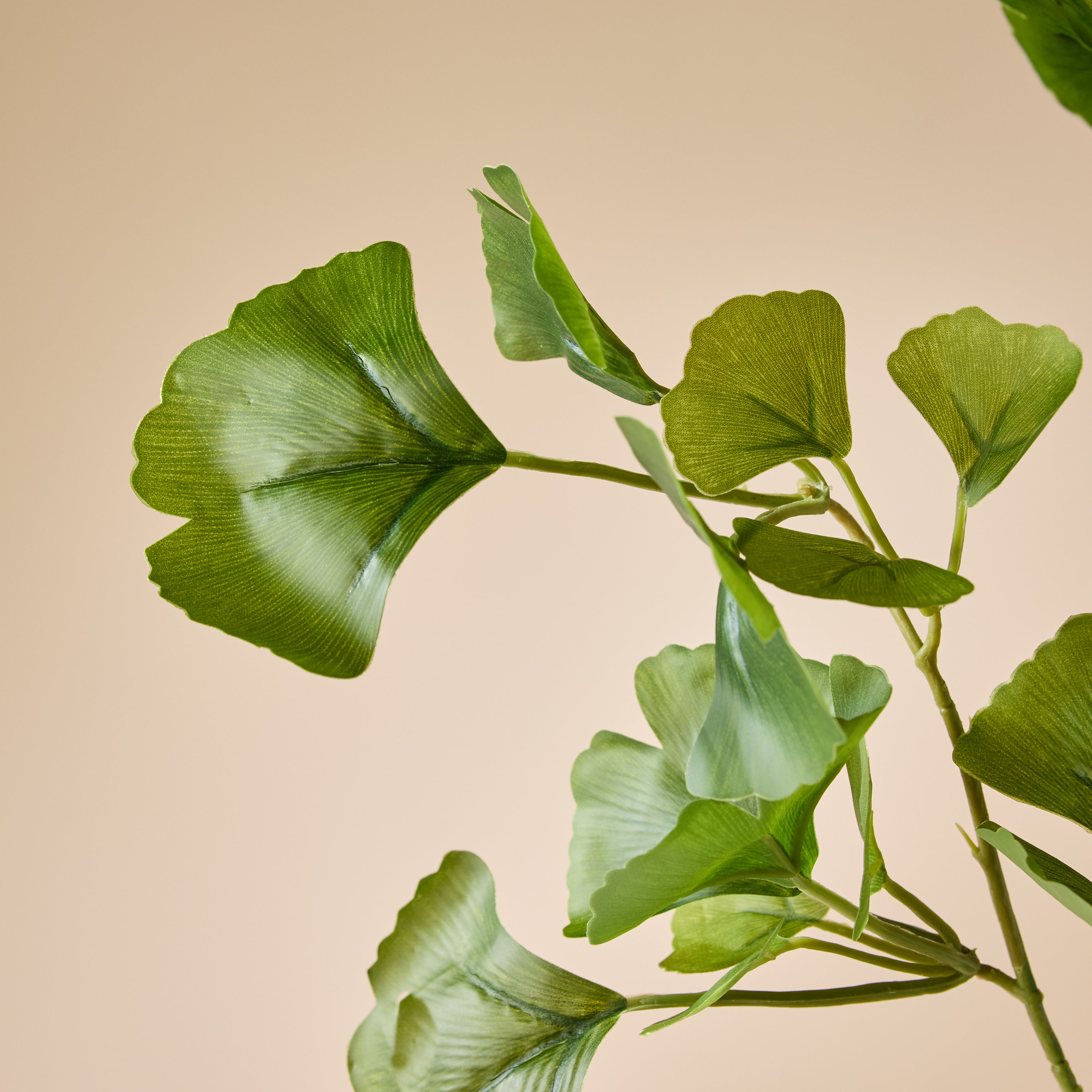 Faux Gingko Leaf Spray | Green - 97cm