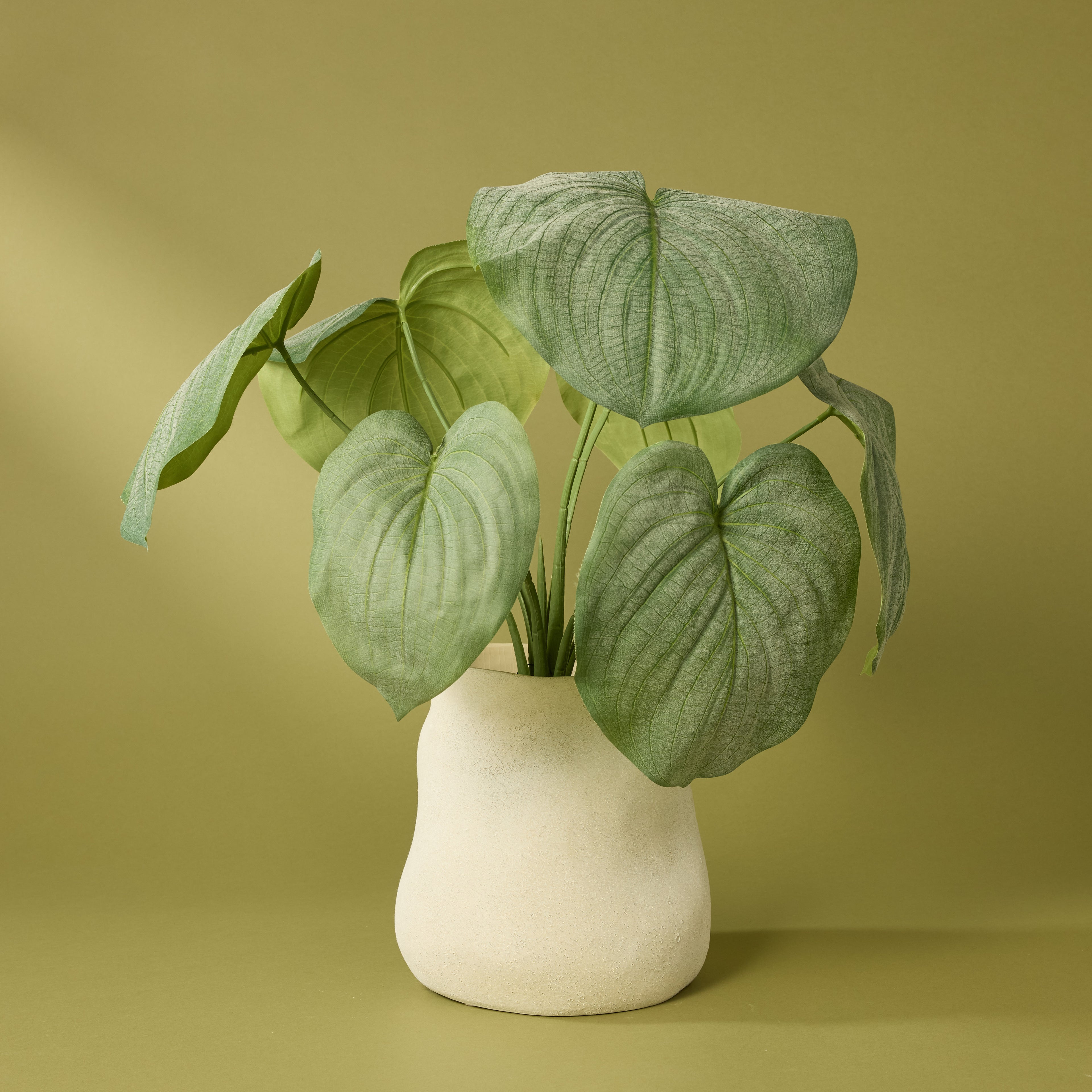 Faux Hosta Plant - Maliah Pot | Cream - 57cm