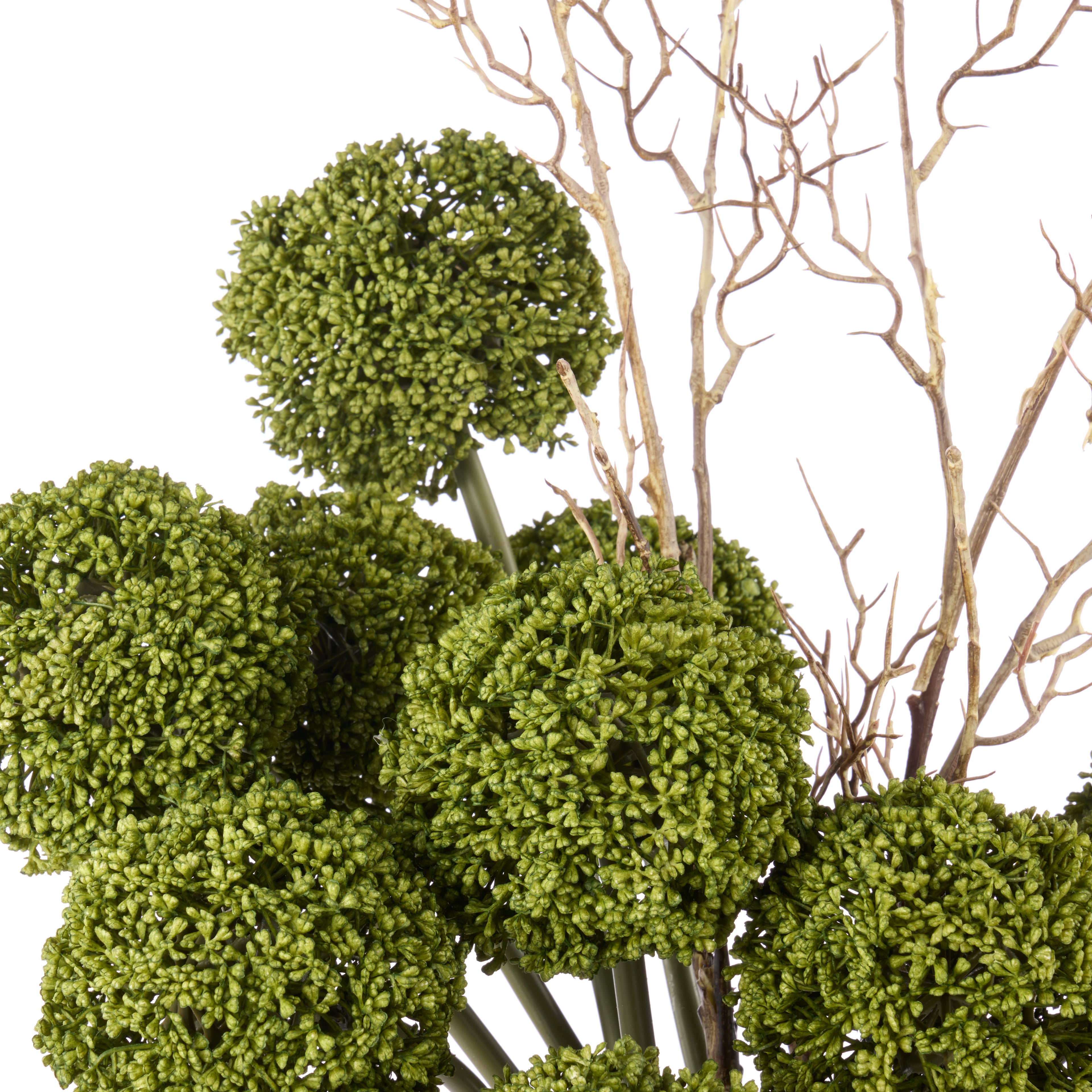 Faux Allium Spray Arrangement - Maliah Pot Cream | Green - 65cm