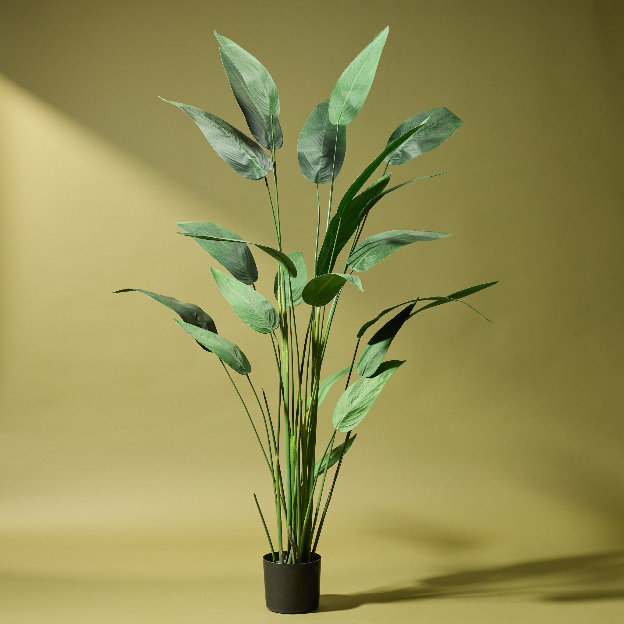 Faux Sky Bird Plant | 180cm