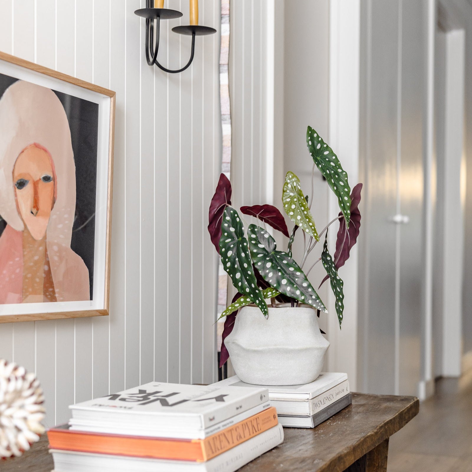 Faux Spotted Begonia | 51cm