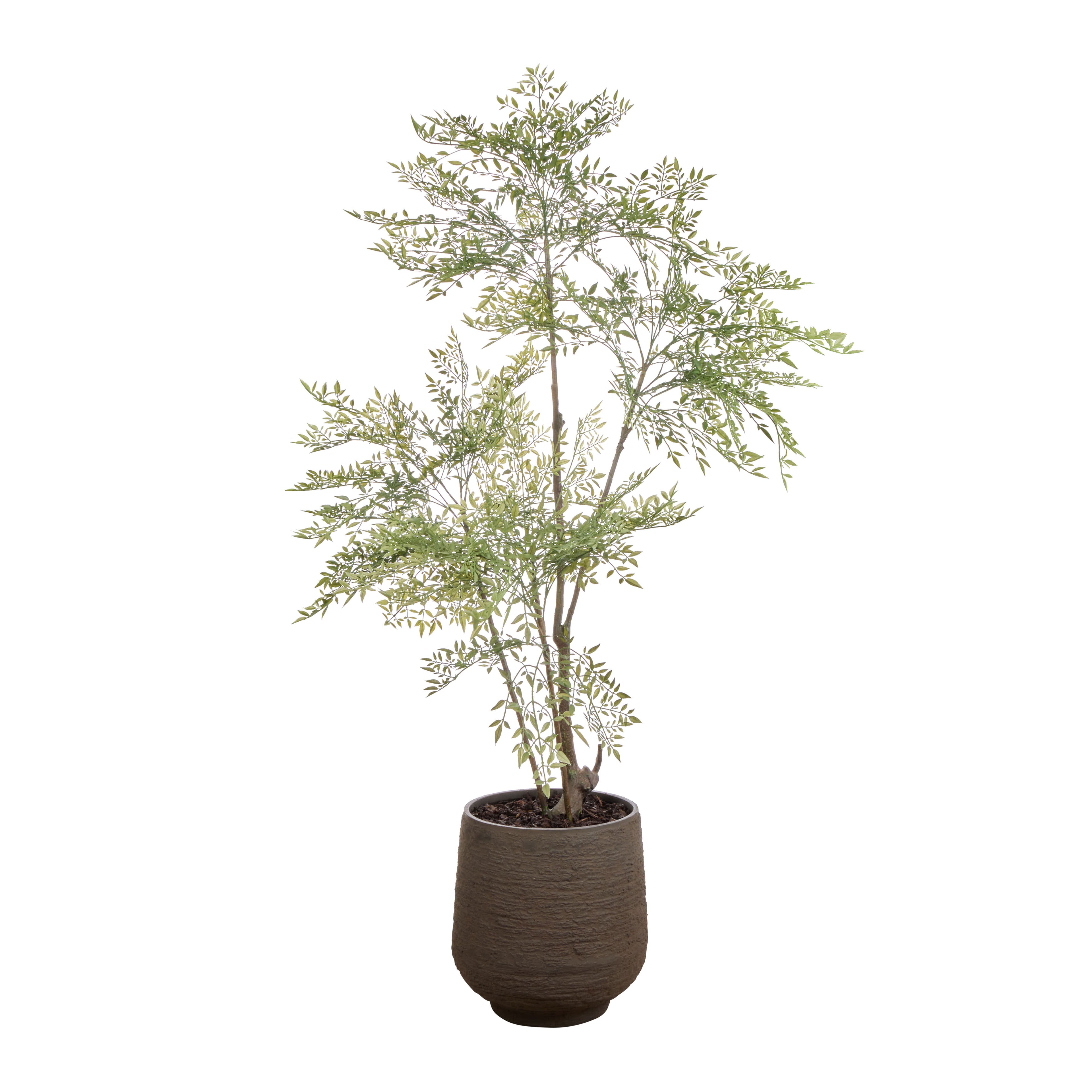 Faux Ficus Tree - Trillium Planter | Green - 184cm