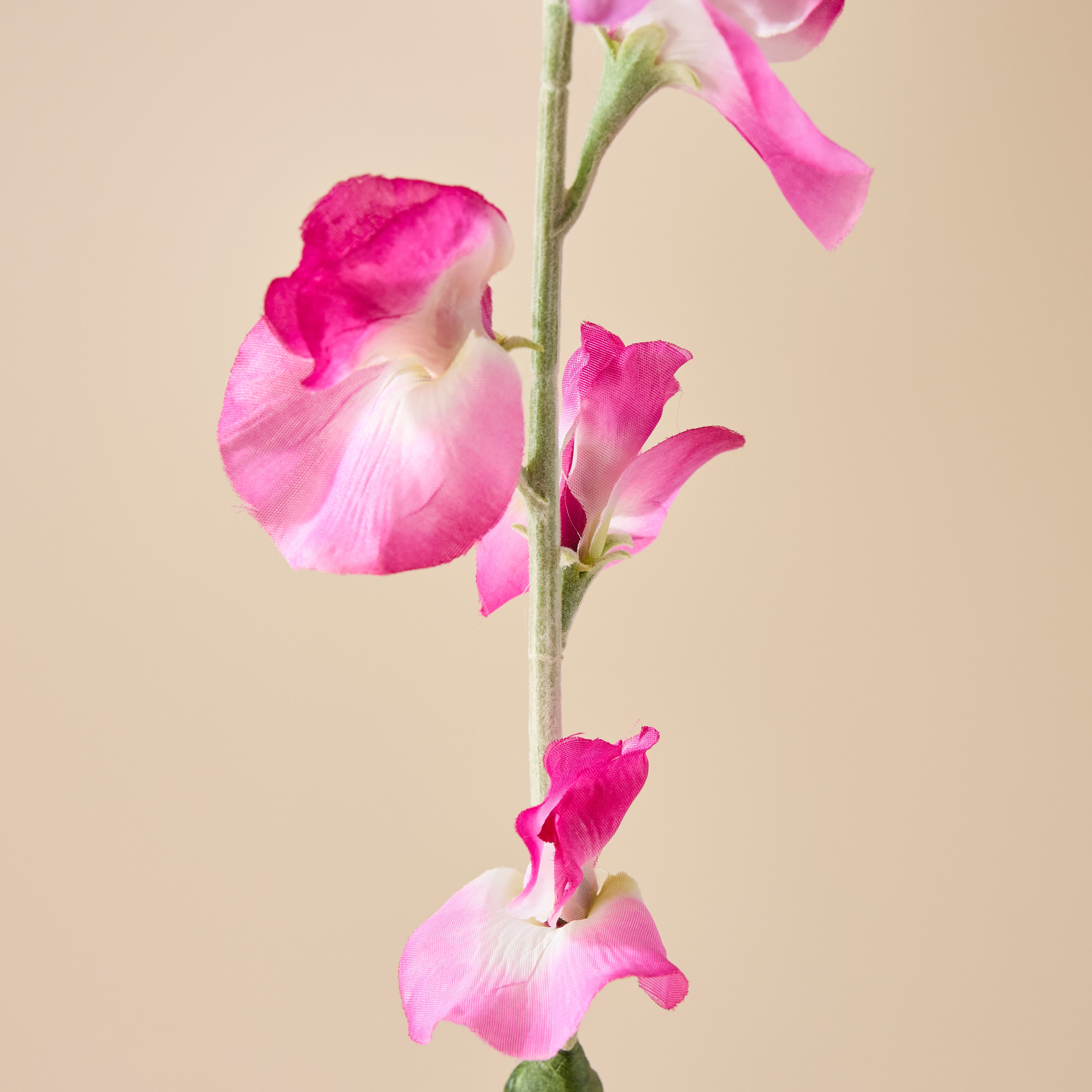 Faux Sweet Pea Spray | Pink - 64cm