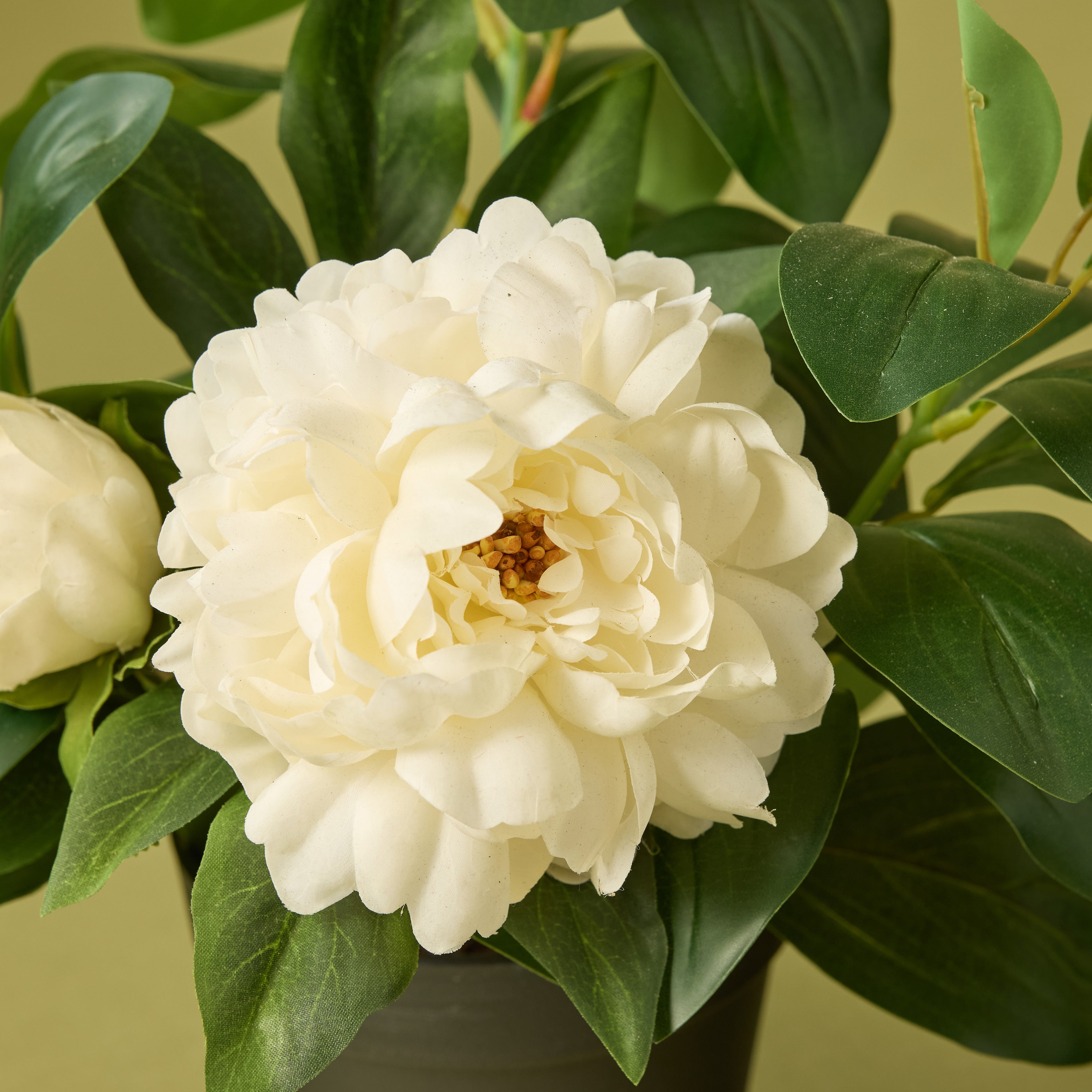 Faux Peony Lush Leaf - Garden Pot | White - 38cm