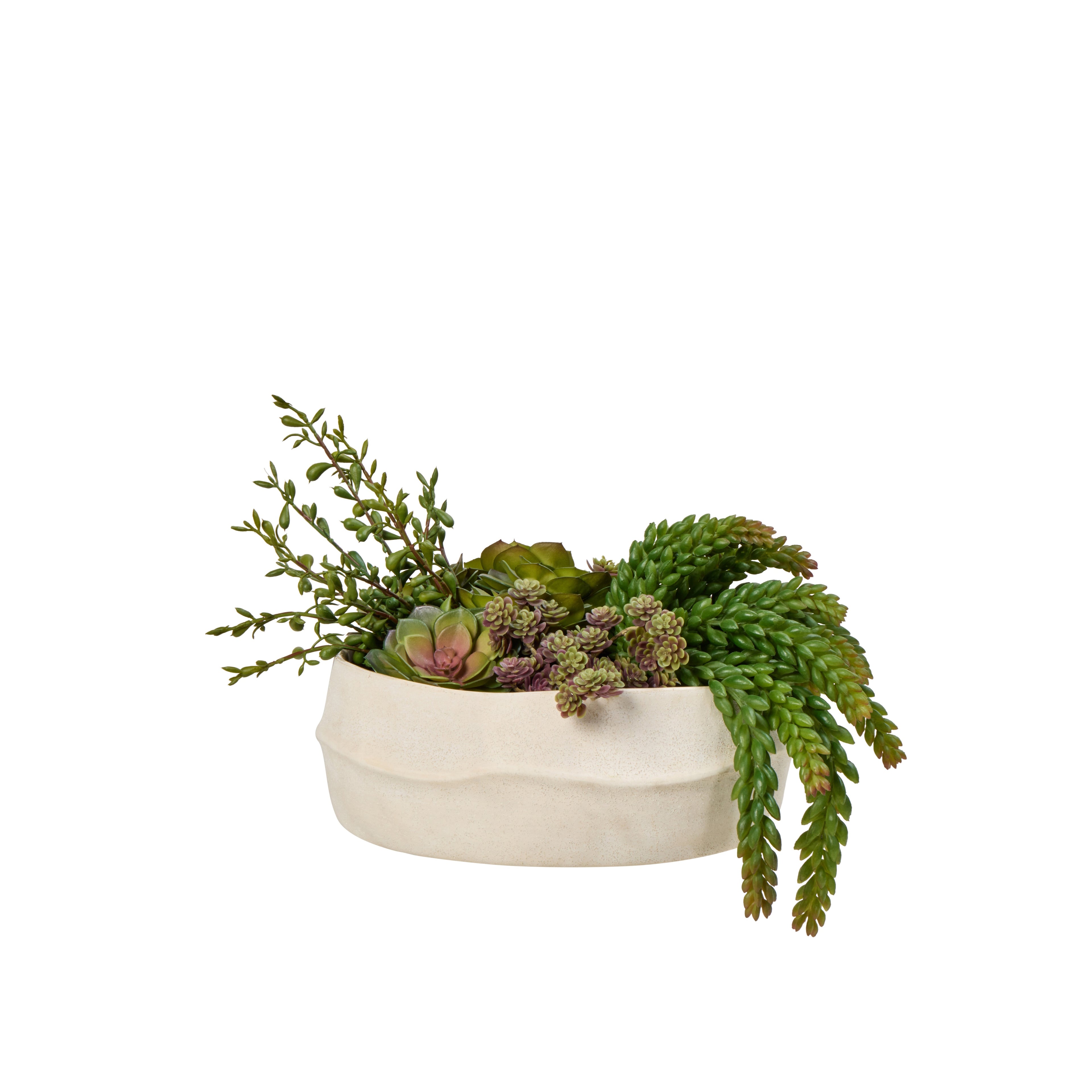 Faux Echeveria Jelly Bean Mix - Maliah Pot | Burgundy - 29cm