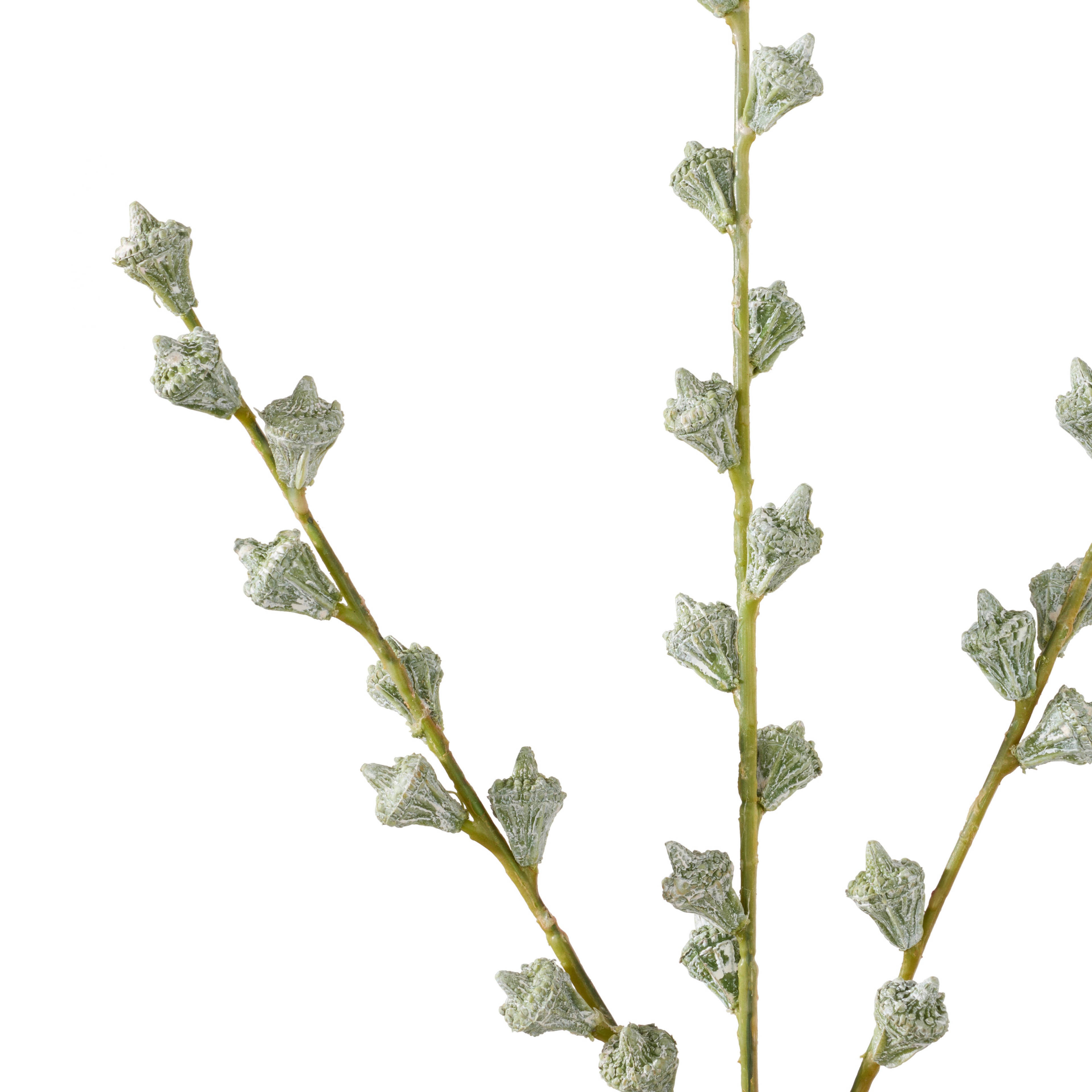 Faux Gumnut Spray | White - 62cm