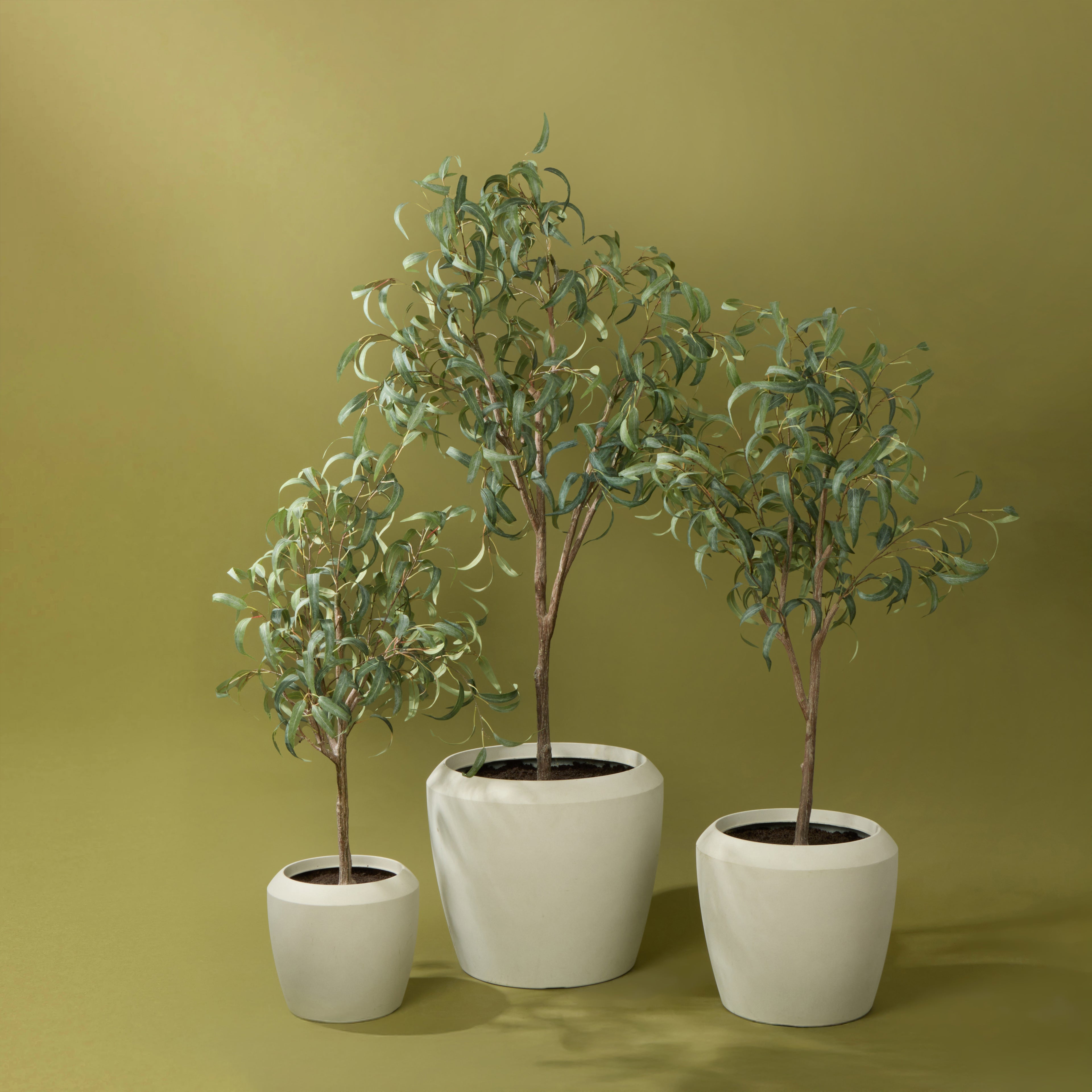 Faux Eucalyptus Tree - Vienna Planter Set of 3 | White