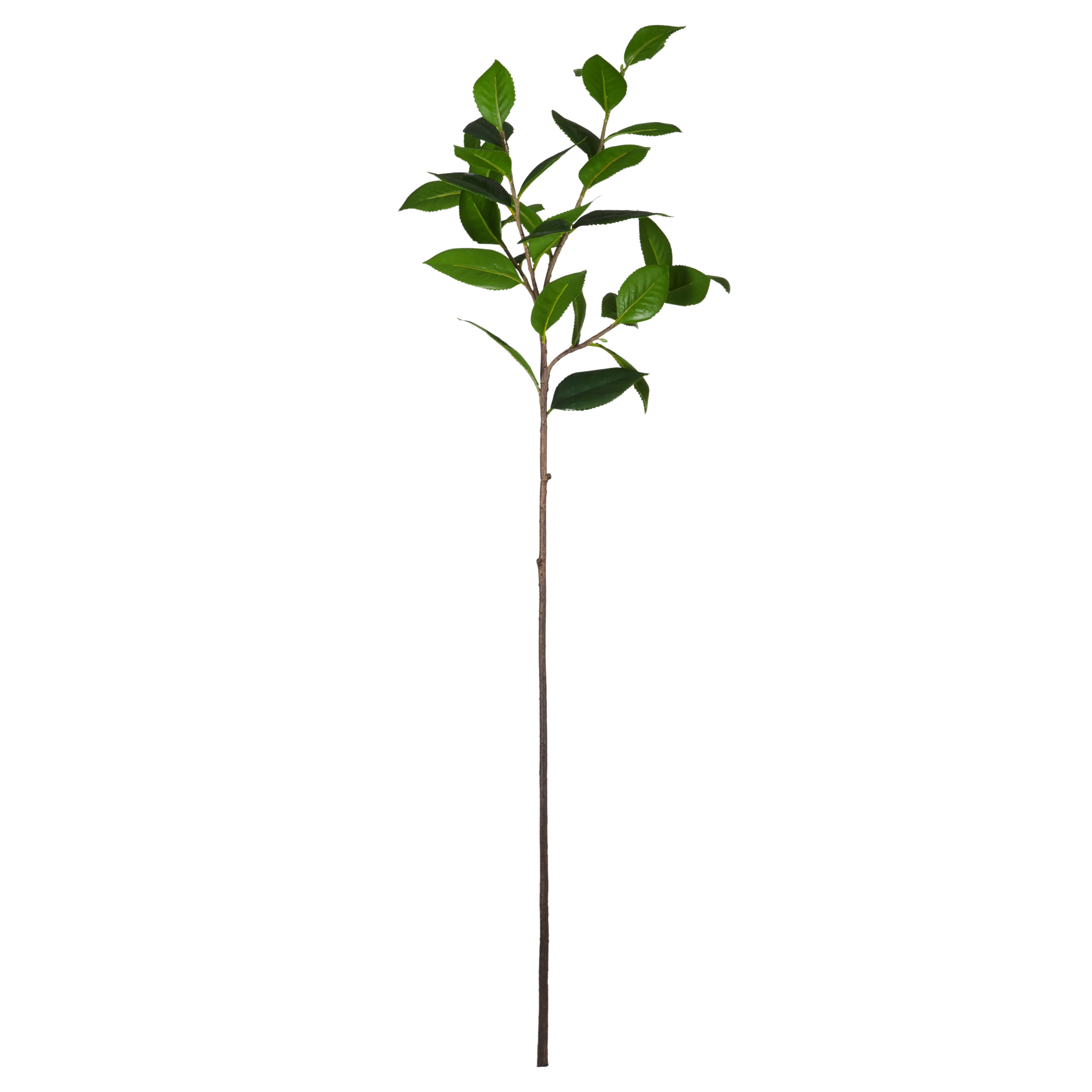 Faux Tea Leaf Spray | 99cm