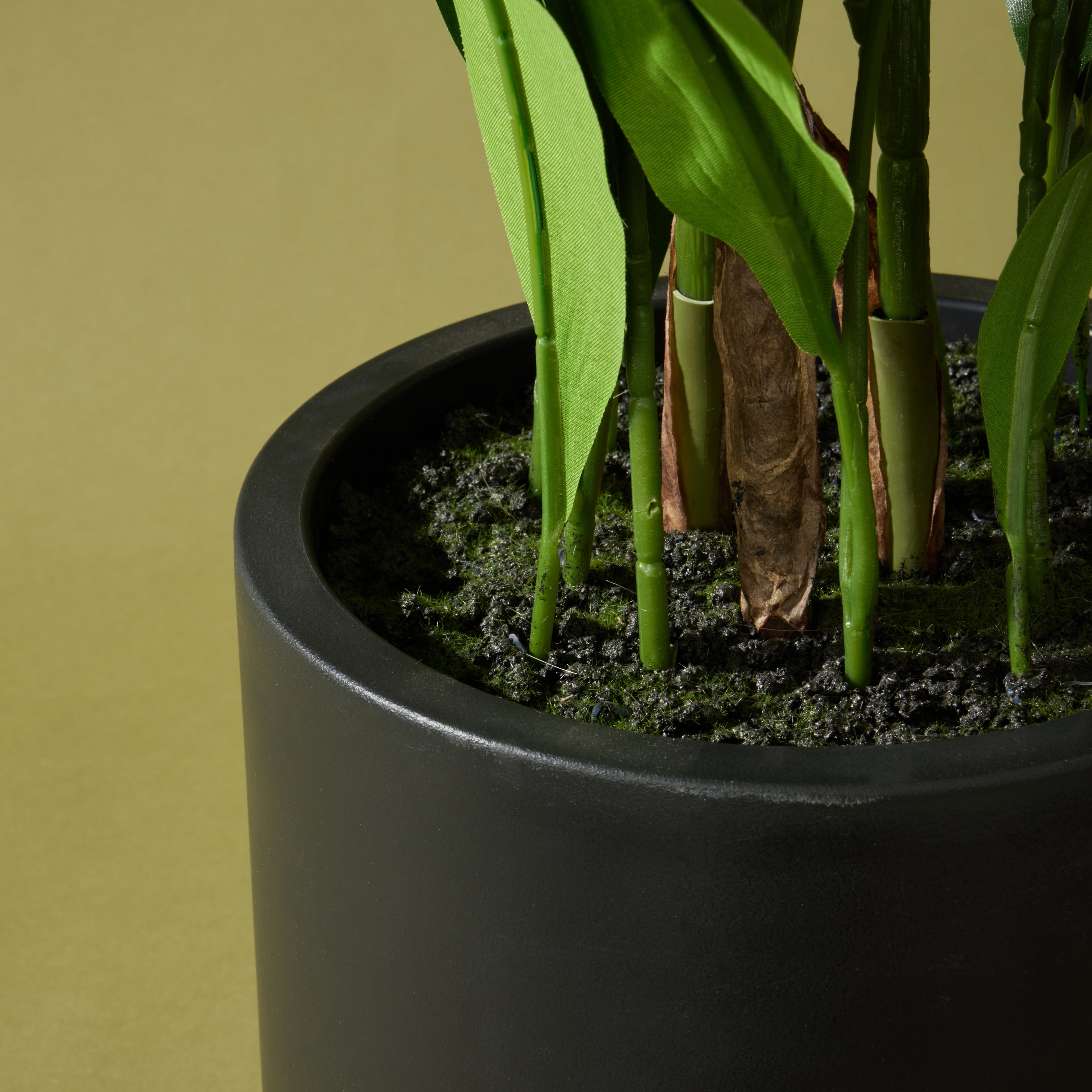 Faux Cast Iron Plant UV Treated  | 90cm