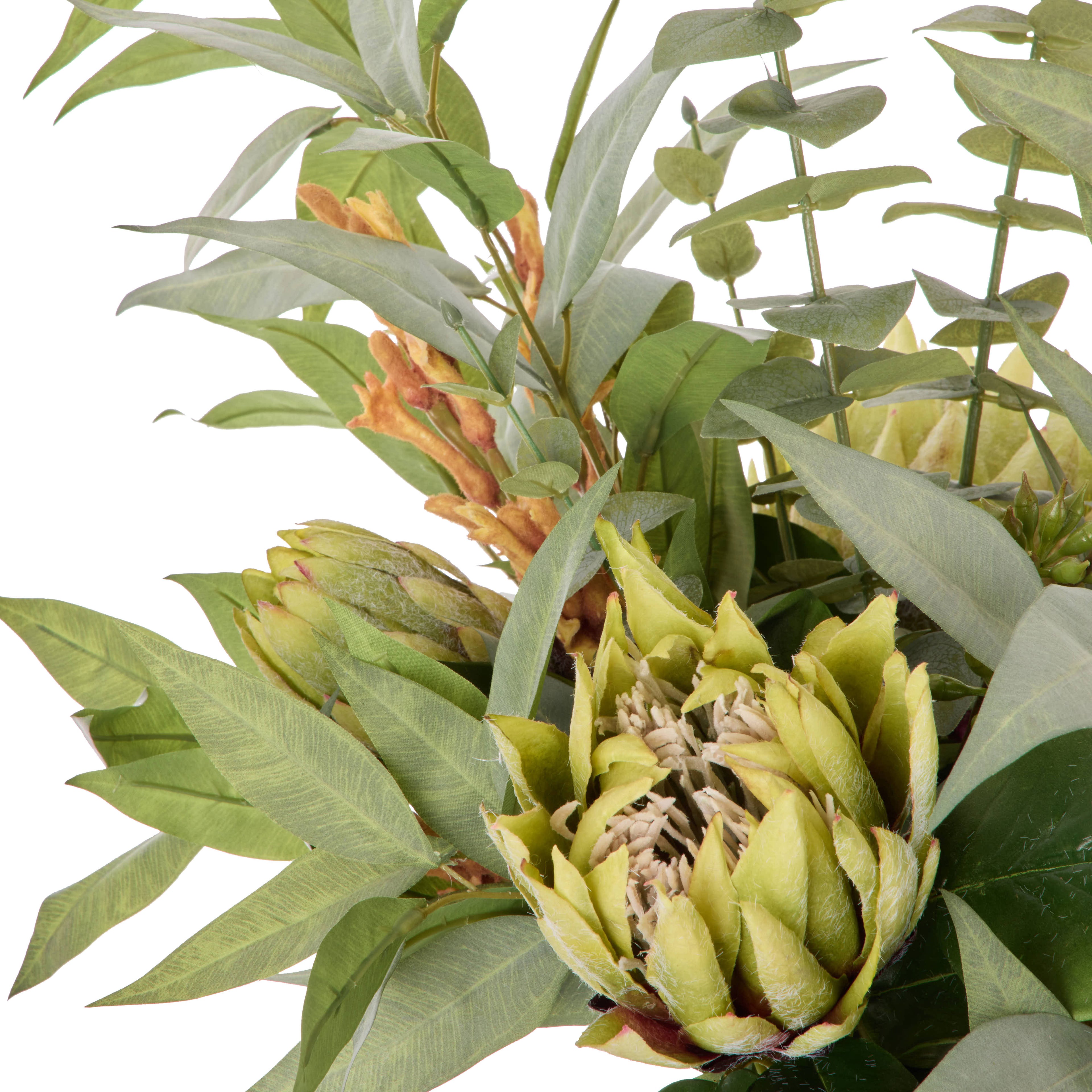 Faux Protea Kangaroo Paw - Claire Vase | Green - 68cm