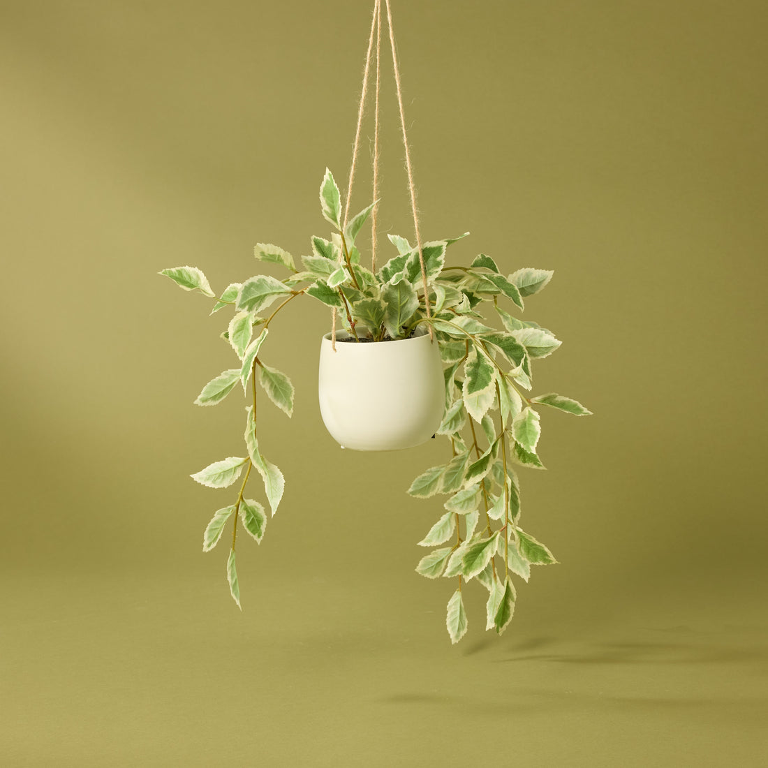 Faux Ficus Hanging Pot | 36cm