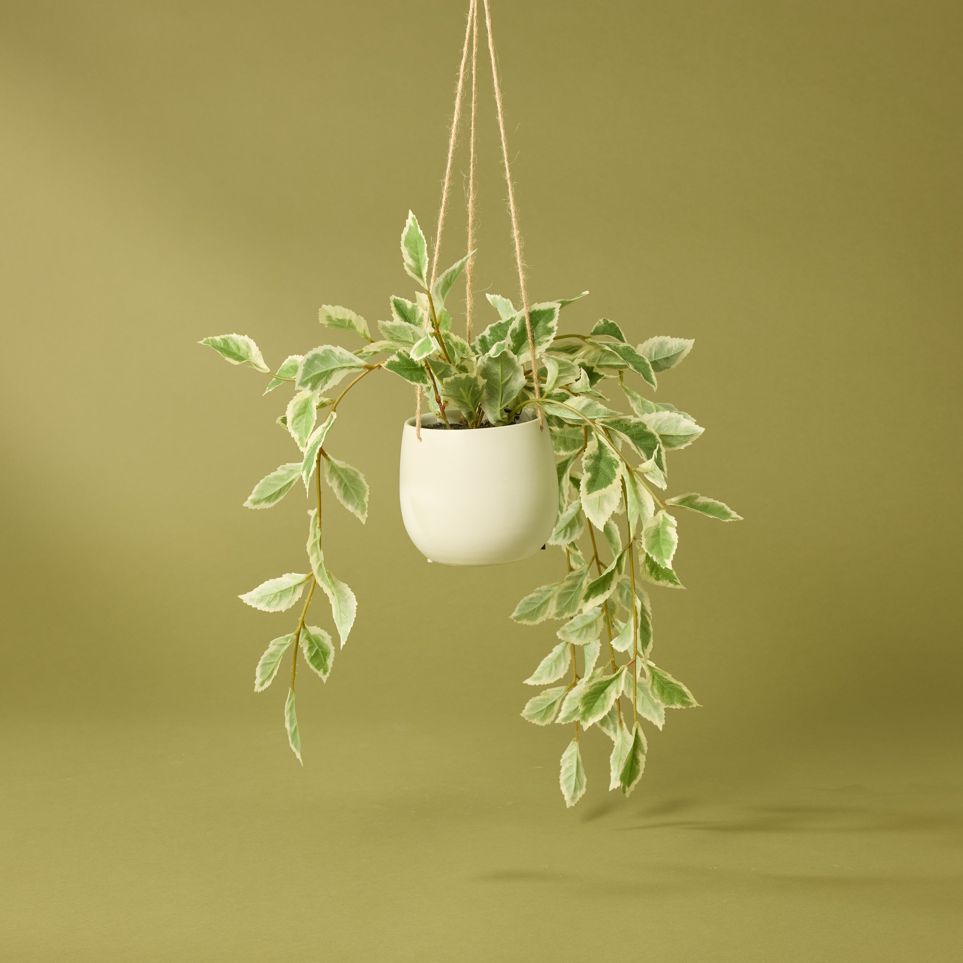 Faux Ficus Hanging Pot | 36cm