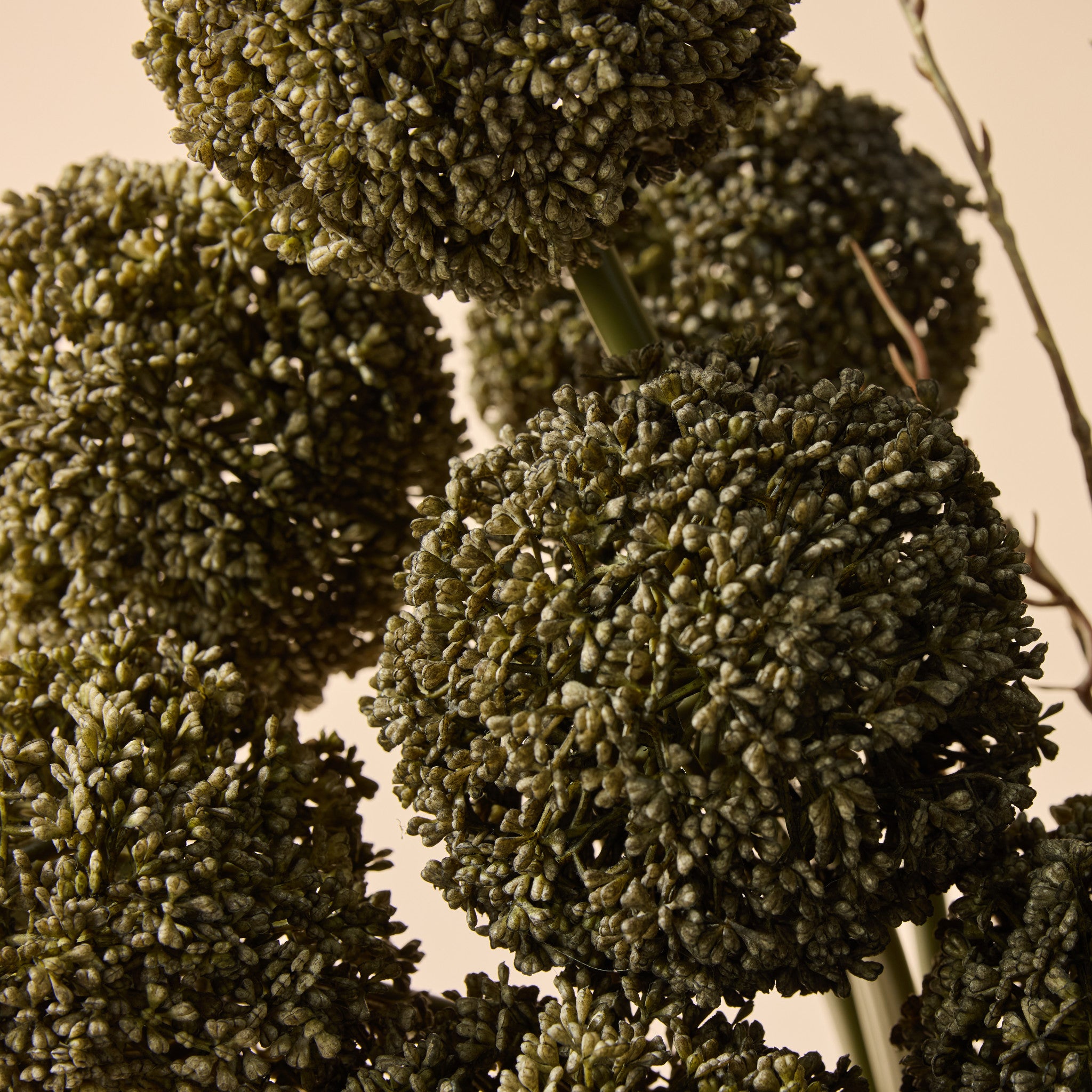 Faux Allium Spray Arrangement - Maliah Pot Black | Green - 65cm