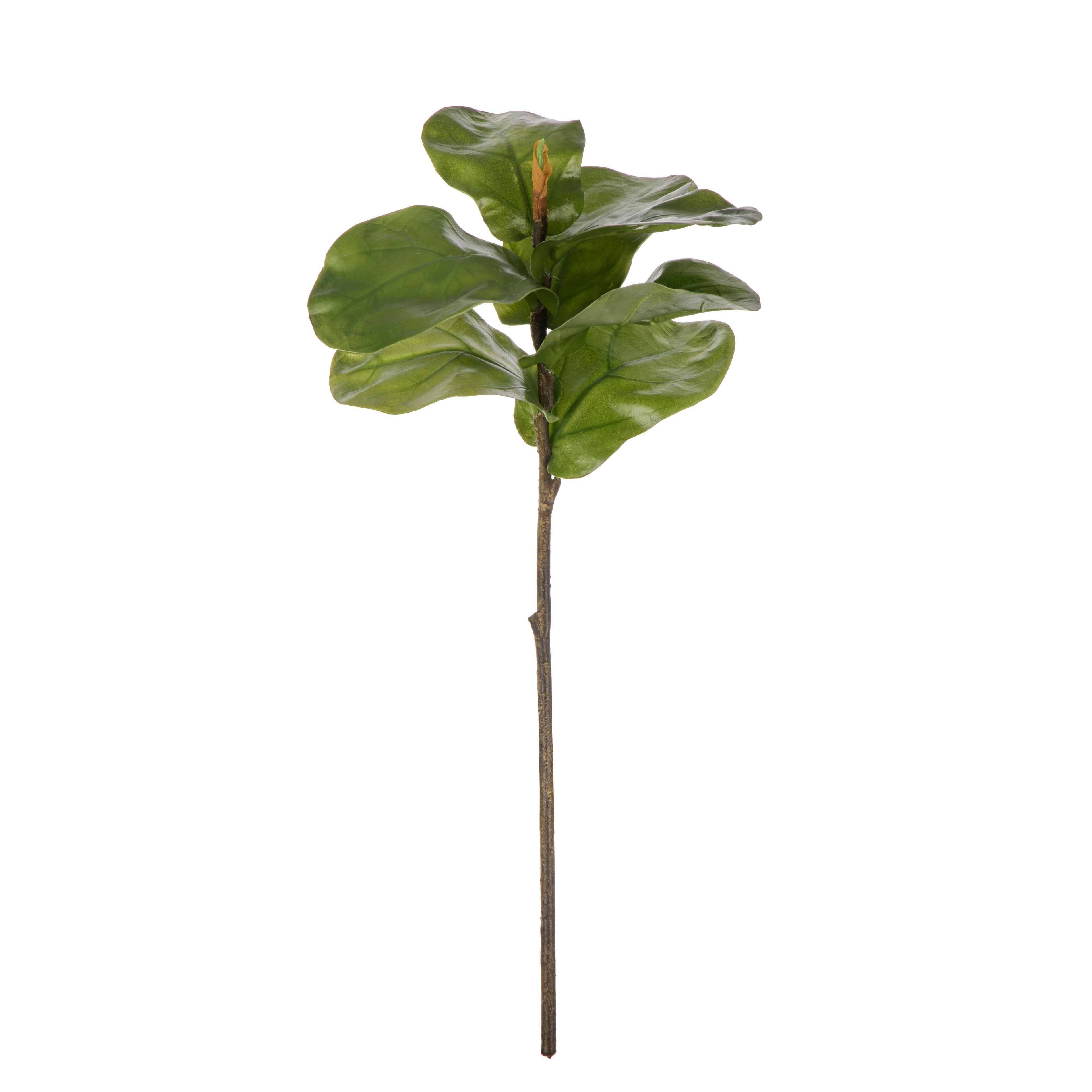 Faux Fiddle Leaf Spray | Green - 58cm