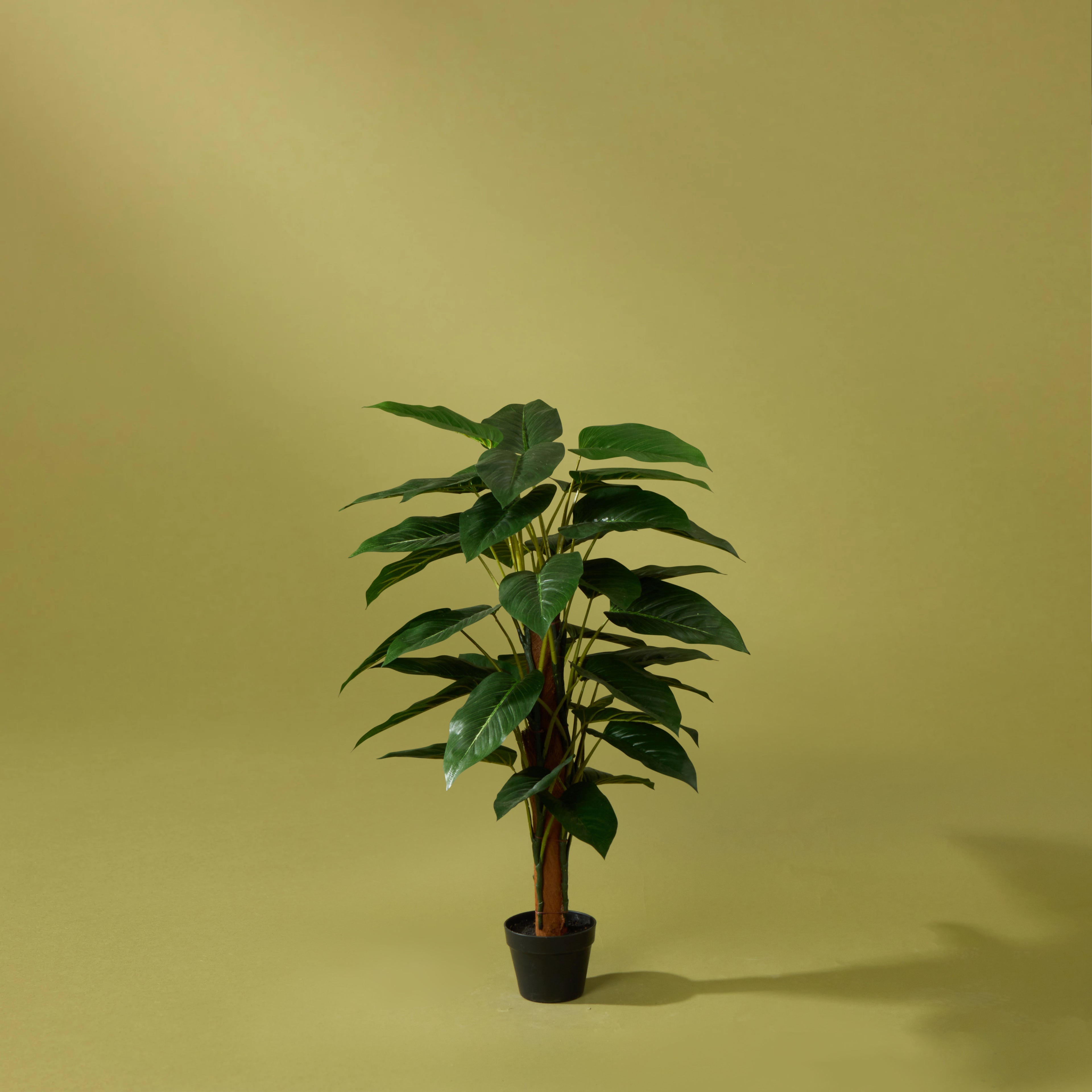 Faux Philondendron UV Treated - Garden Pot | 120cm