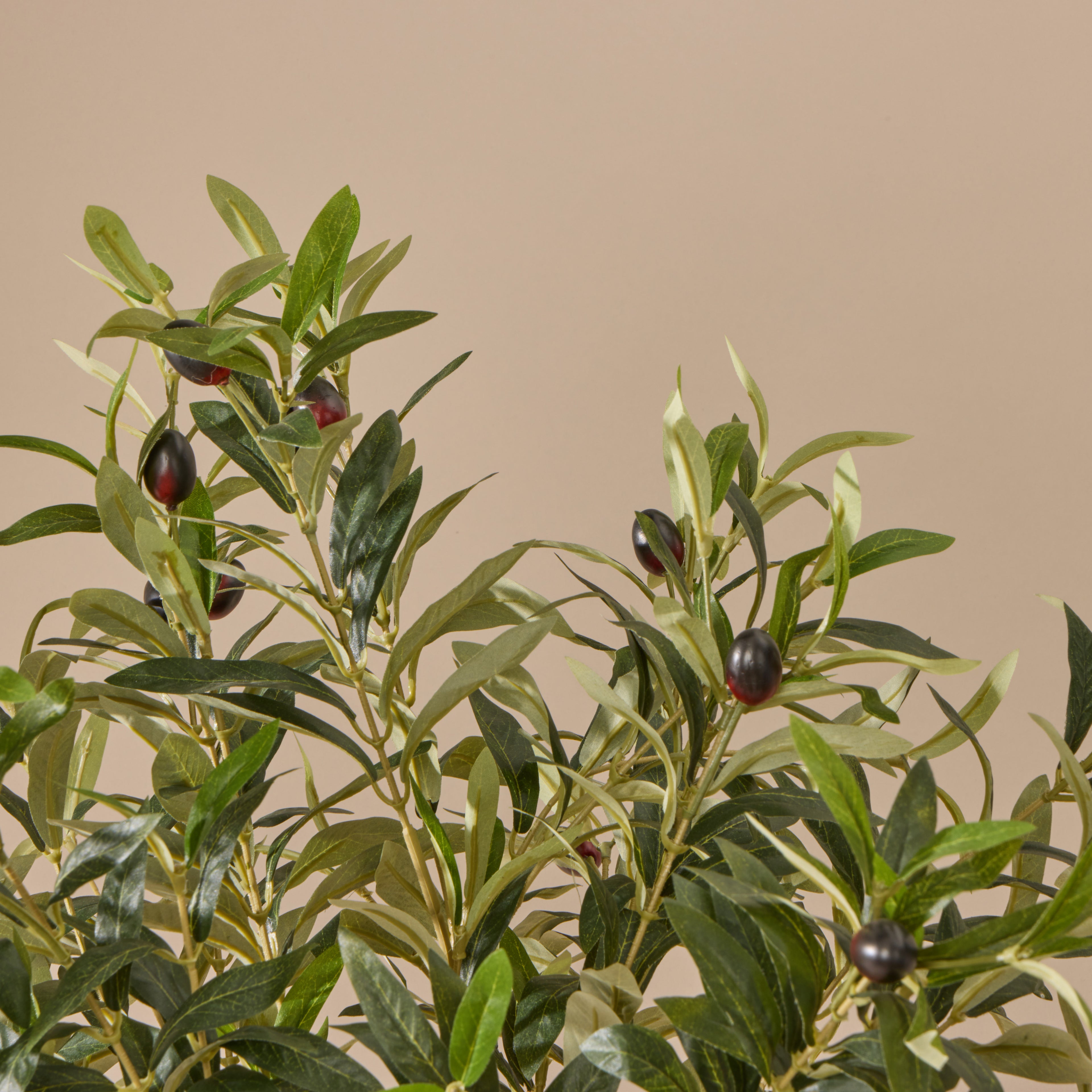 Faux Olive - Dansk Ribbed Vase | Natural - 80cm