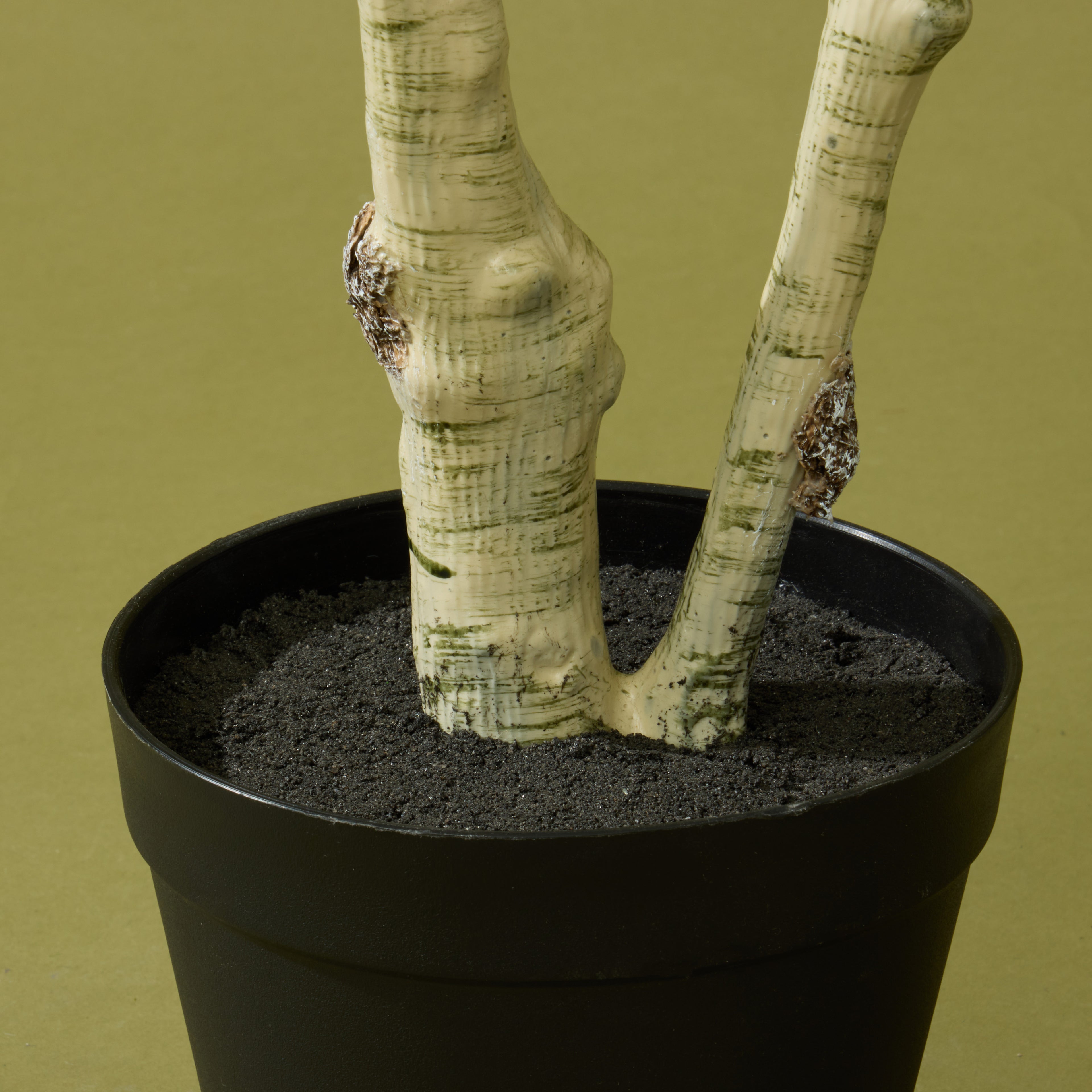 Faux Silver Birch Tree - Garden Pot | 155cm