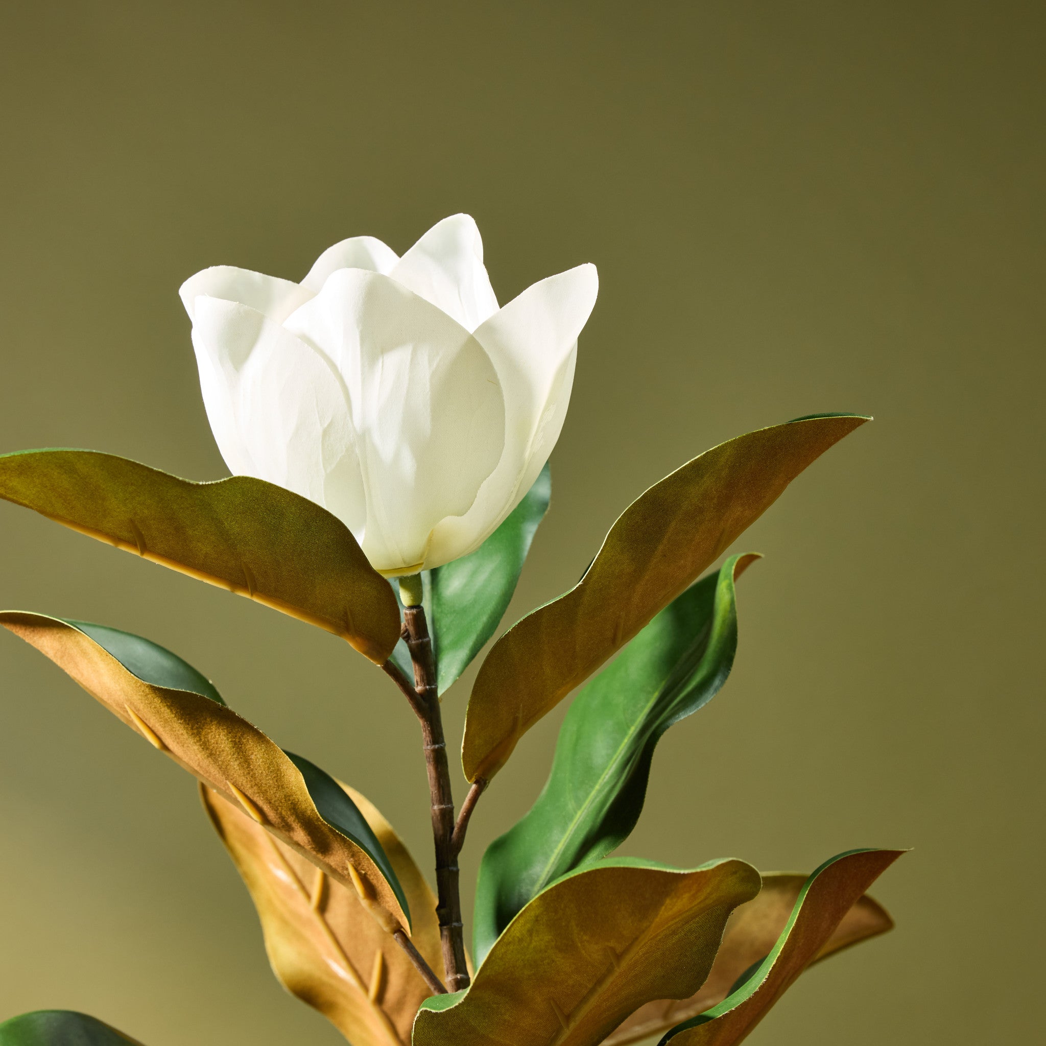 Faux Magnolia Tree | 158cm