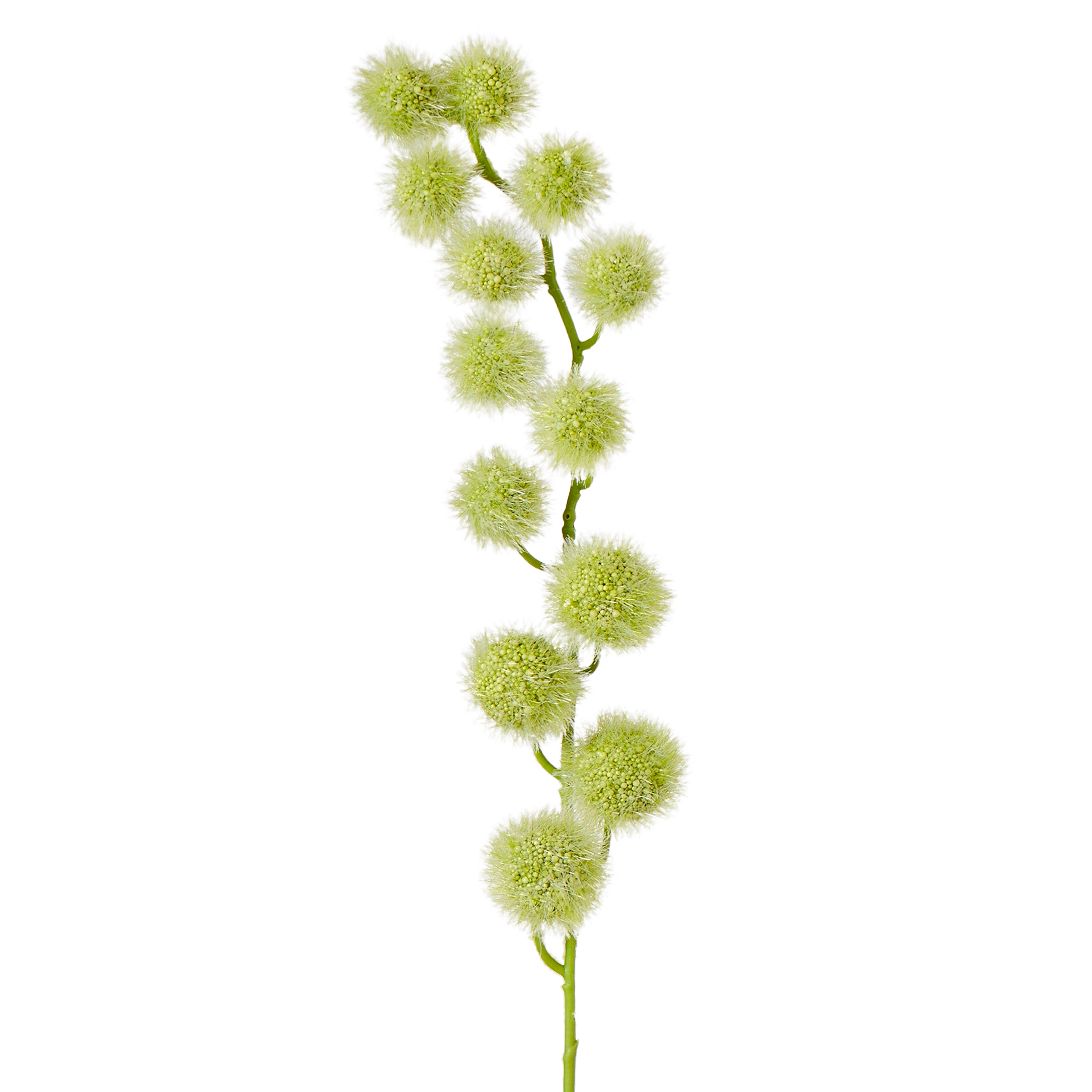 Faux Mini Milk Weed Stem | Cream - 80cm