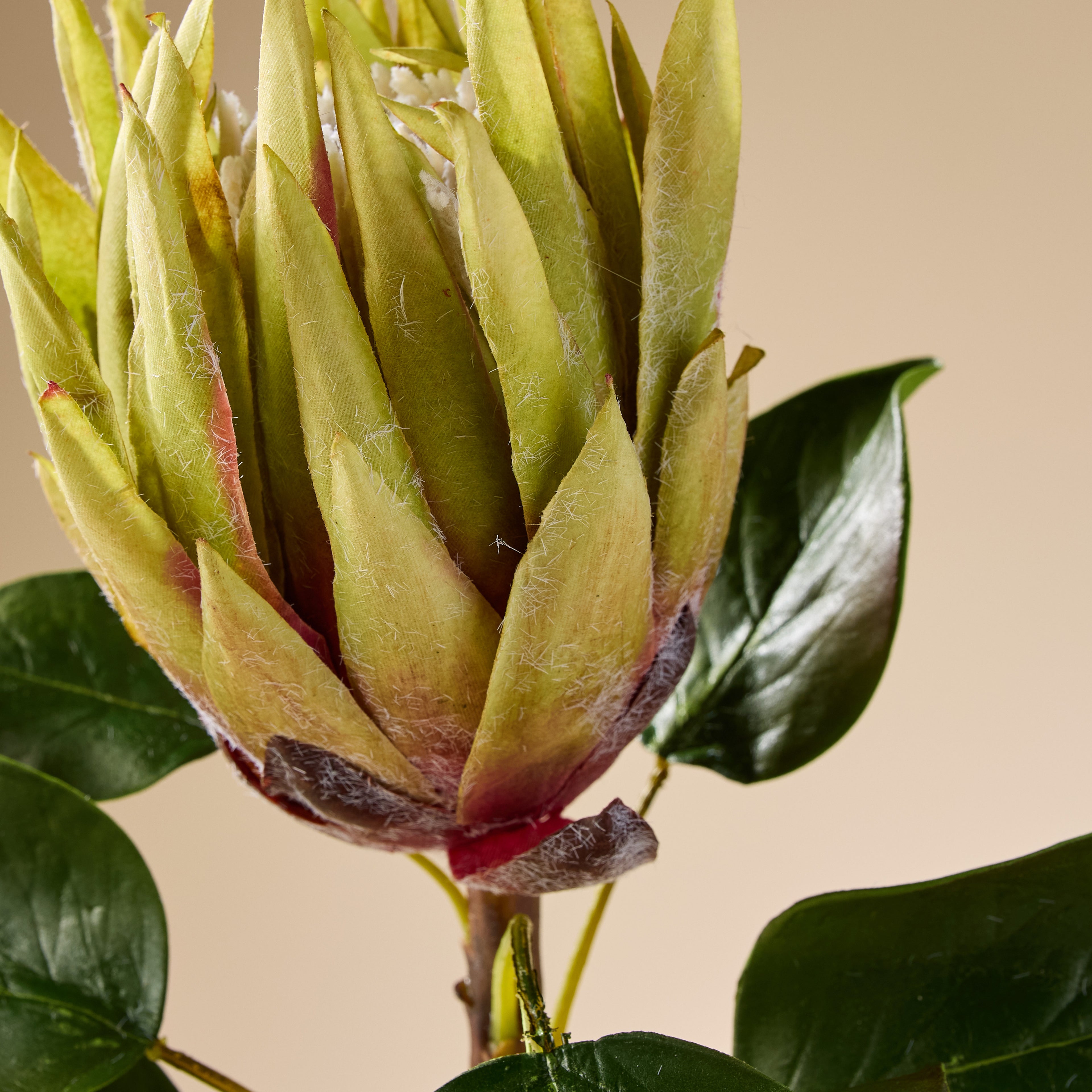 Faux King Protea Stem | Green - 60cm