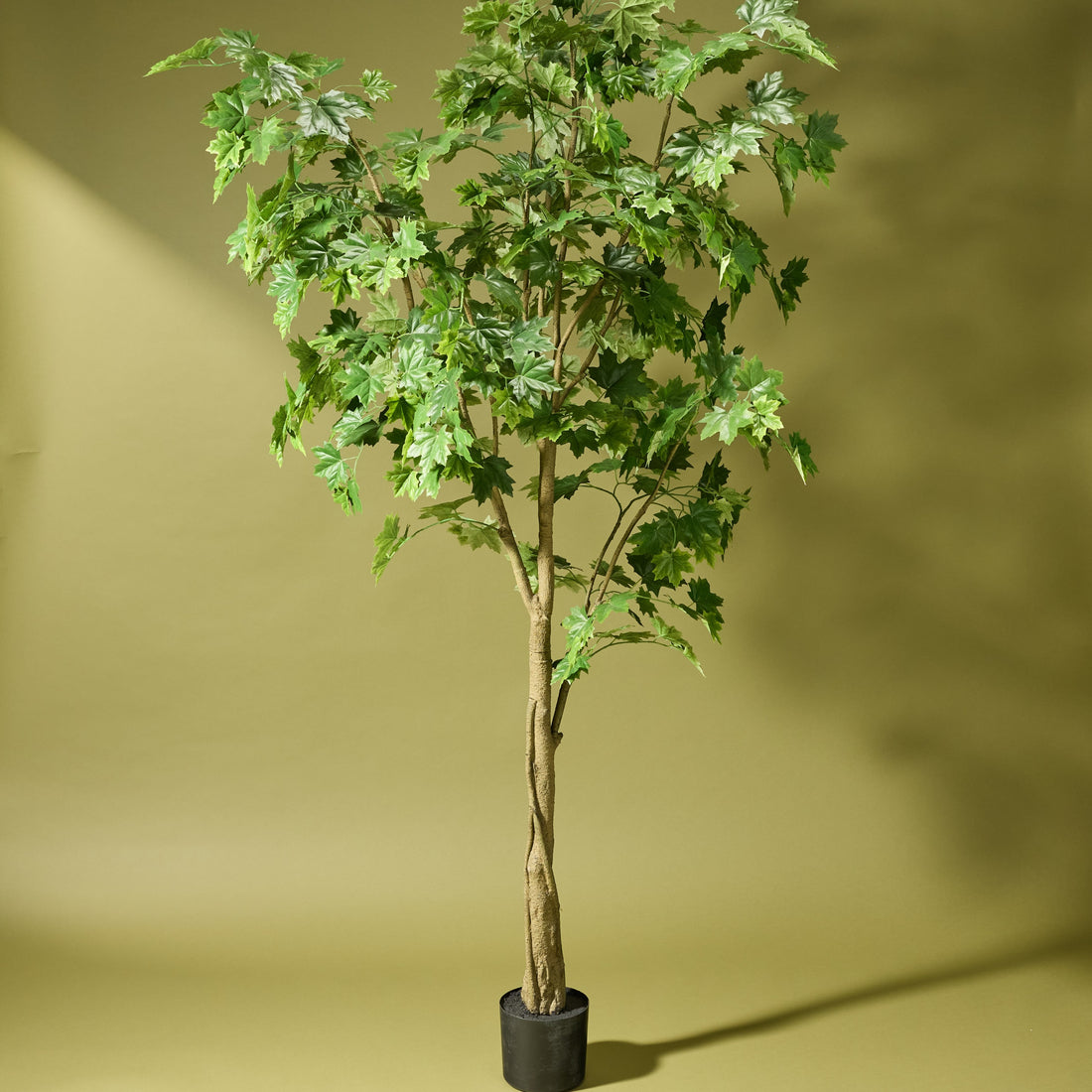 Faux Maple Tree - Garden Pot | 210cm