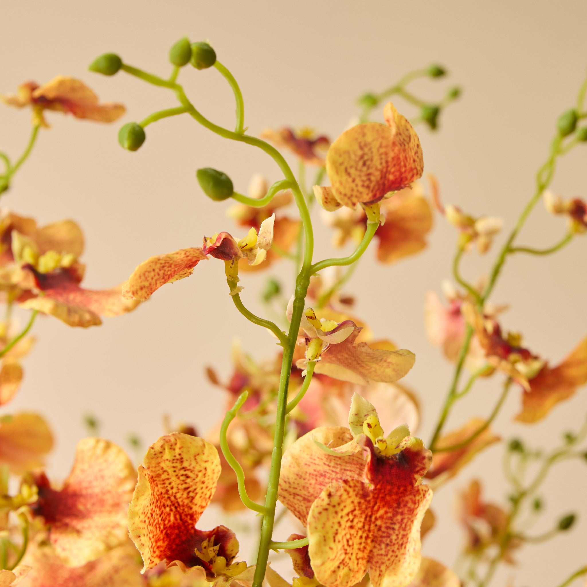 Faux Dancing Orchids - Madelyn Bowl | Orange - 67cm