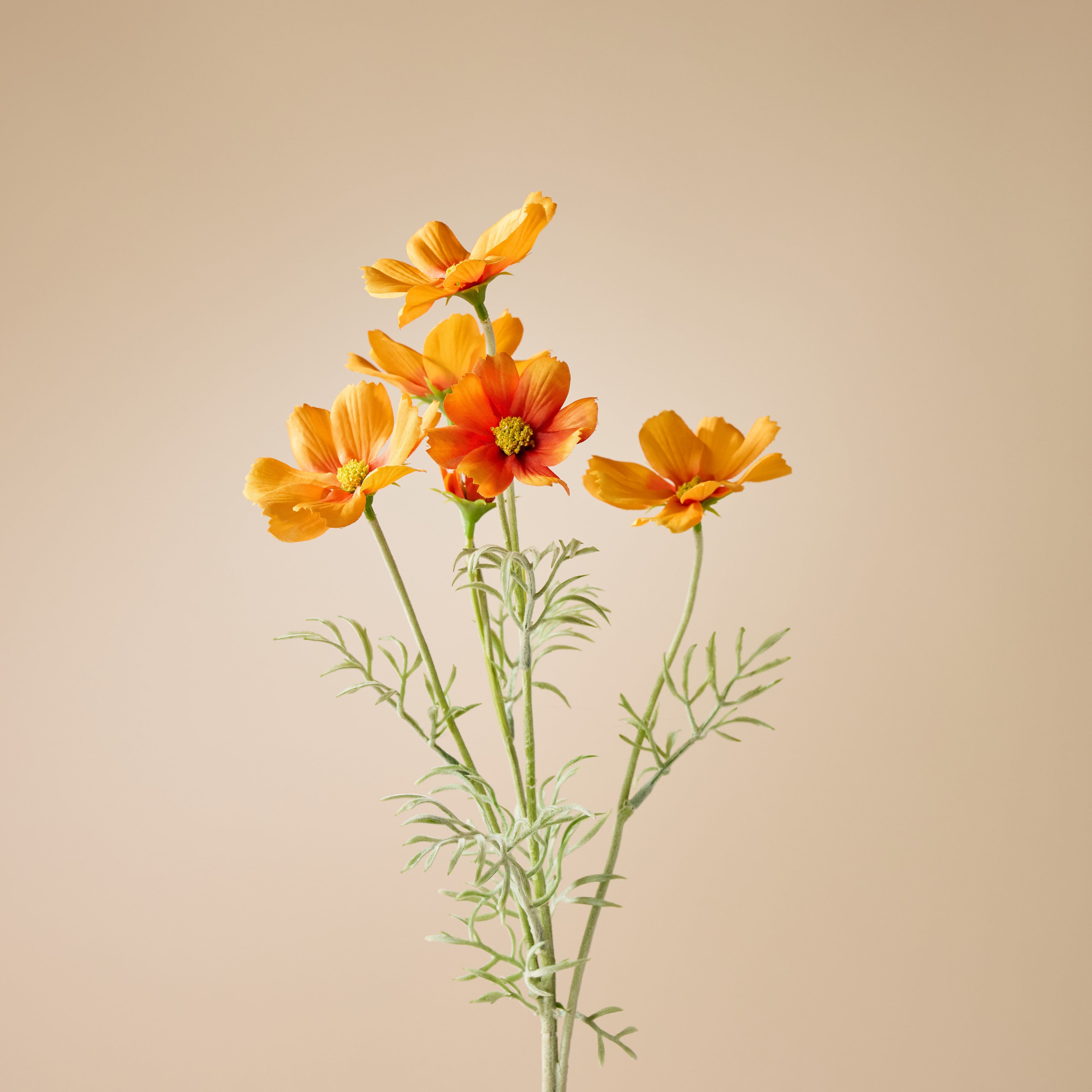 Faux Cosmos Flower Spray - Orange | Caldera Vase Stem Set | Three Birds Set