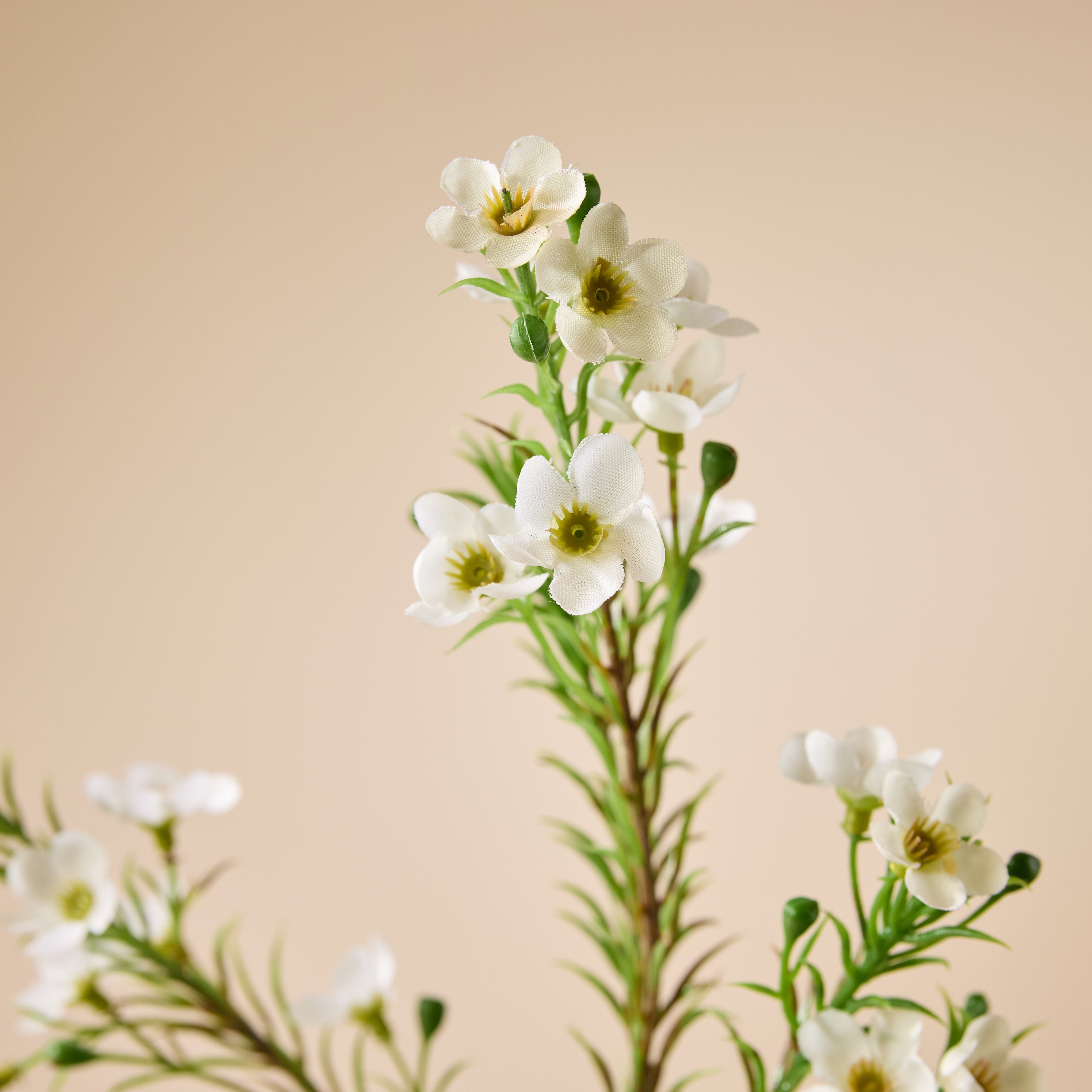 Faux Wax Flower Spray | White - 65cm