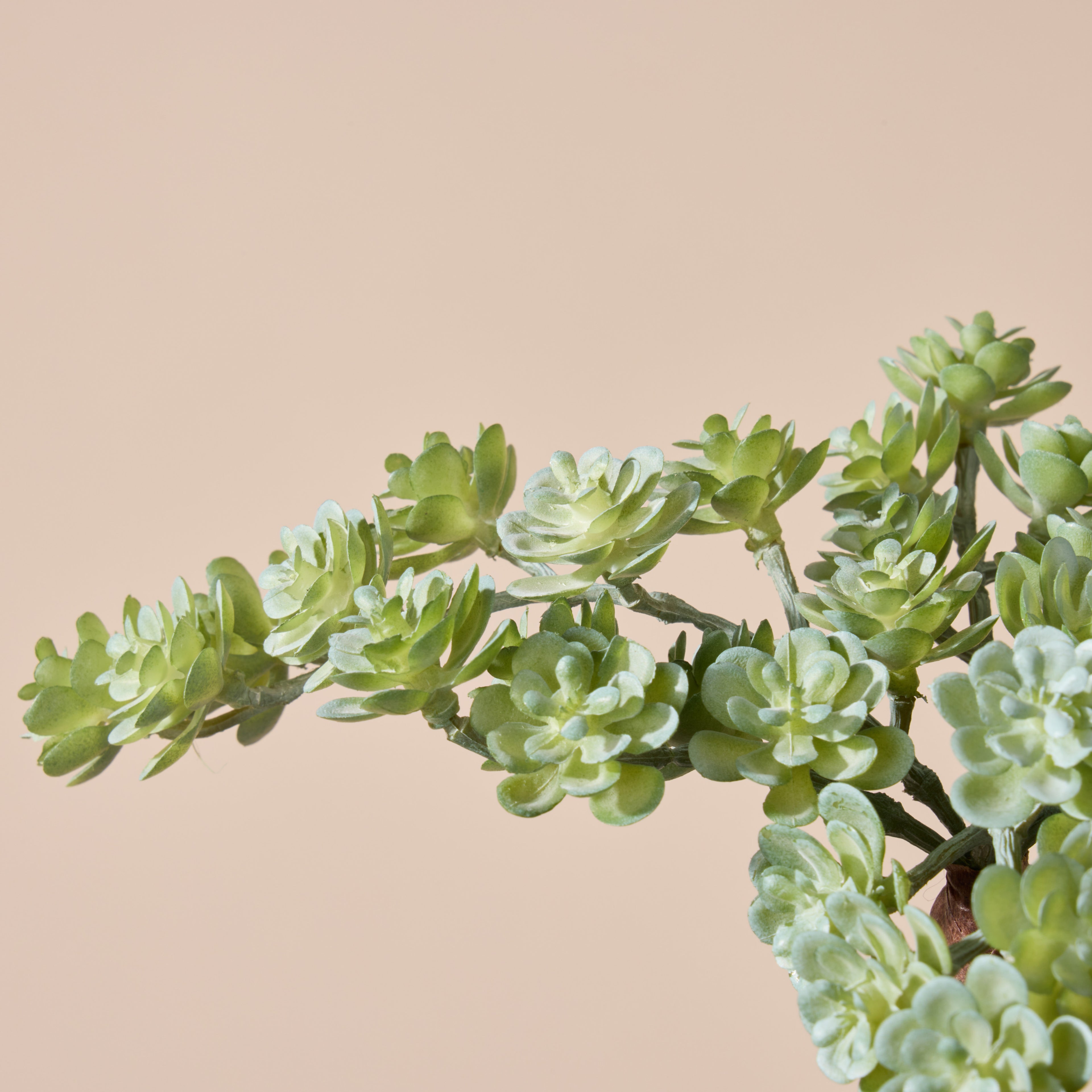 Faux Mini Houseleek Spray | Green - 15cm