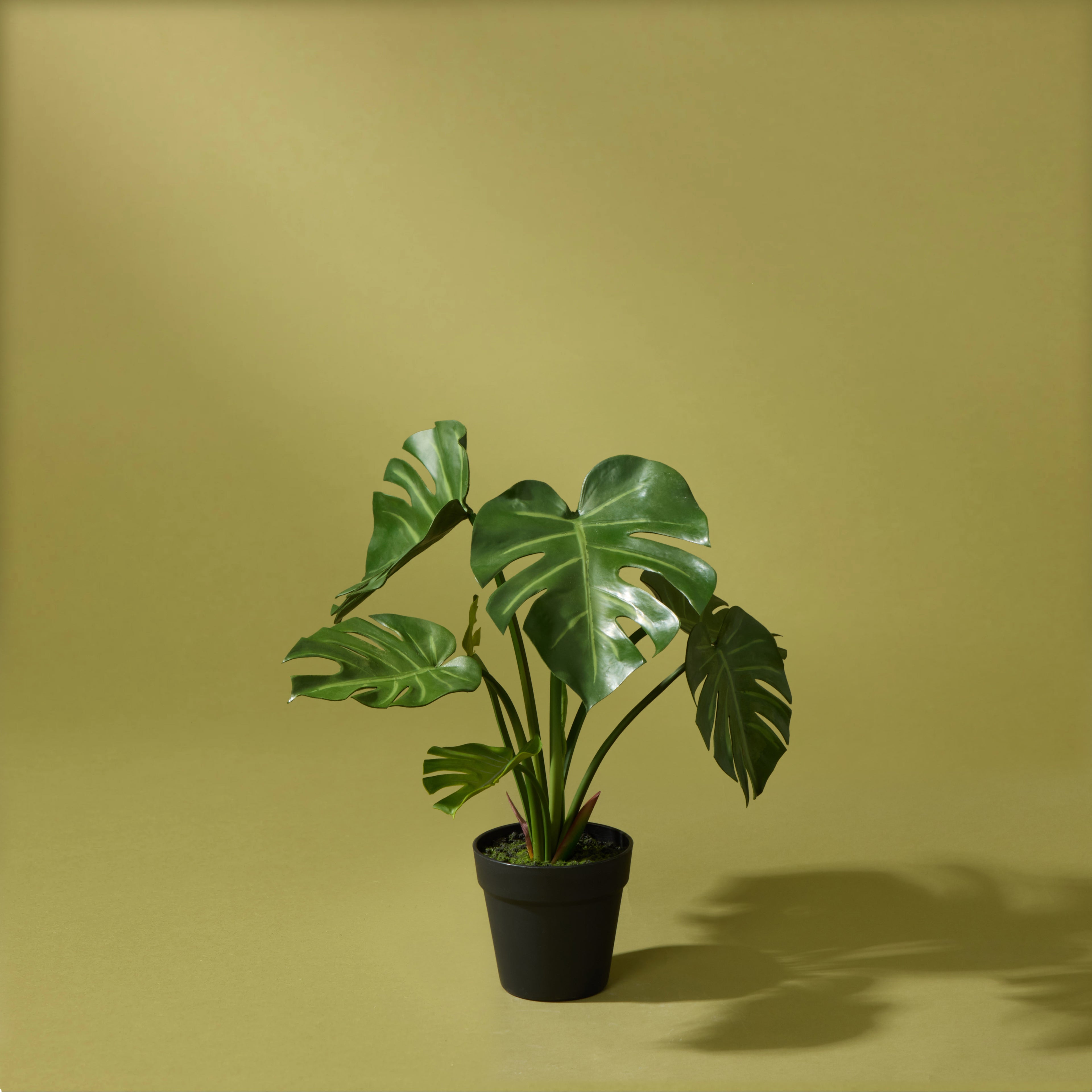 Faux Monstera Plant - Garden Pot | 45cm