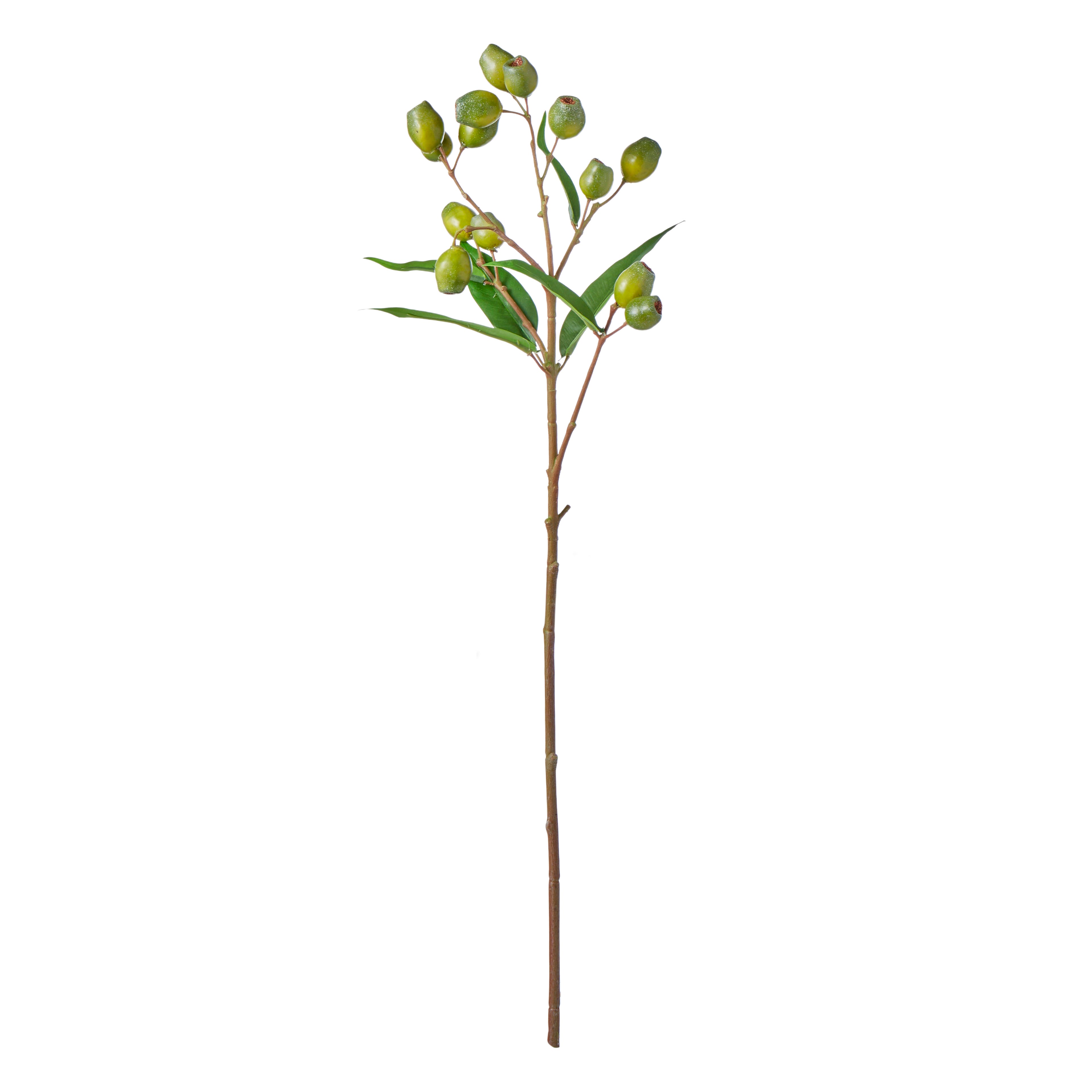 Faux Gum Nut Spray | 66cm