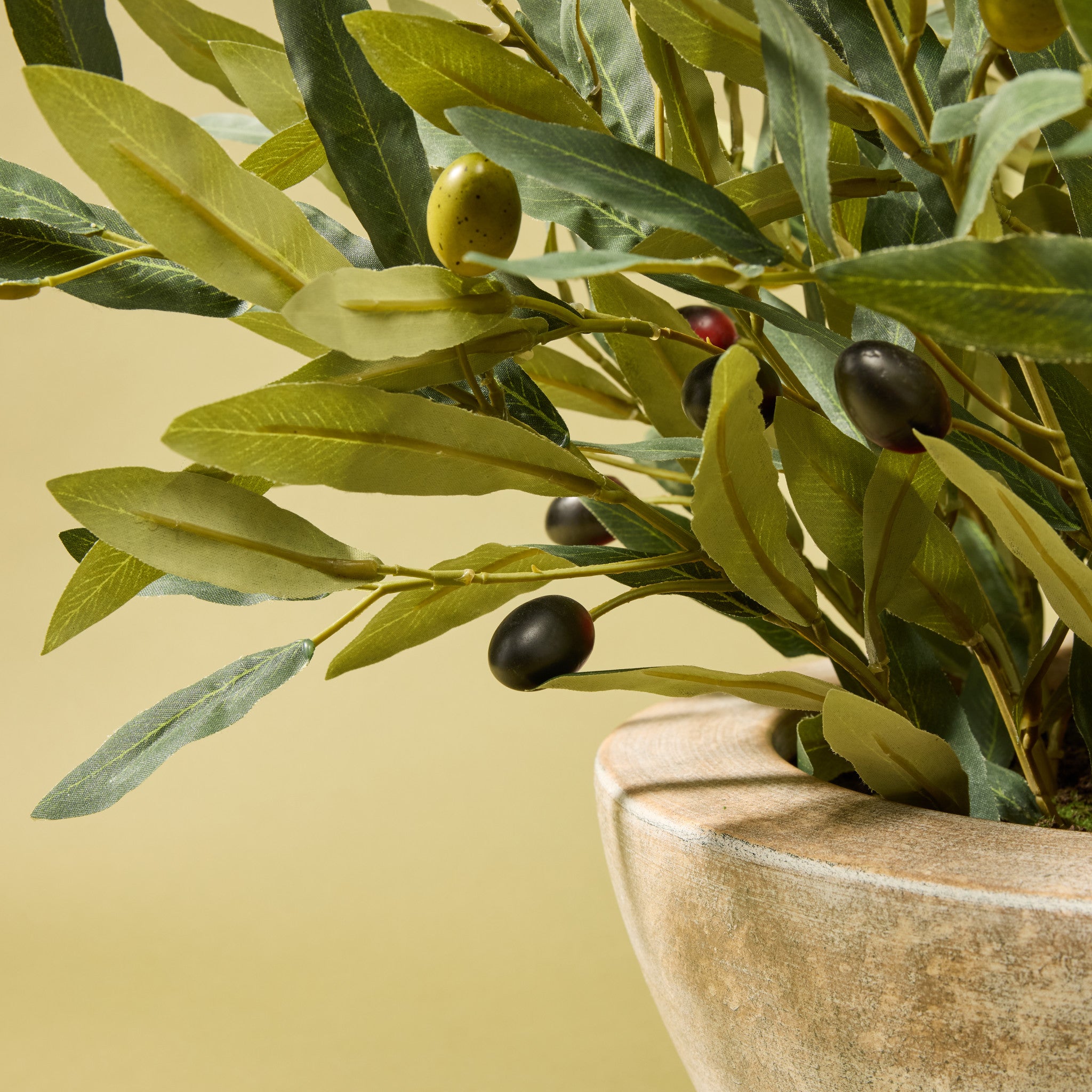 Faux Olive Spray Arrangement - Earthenware Bowl | 68cm